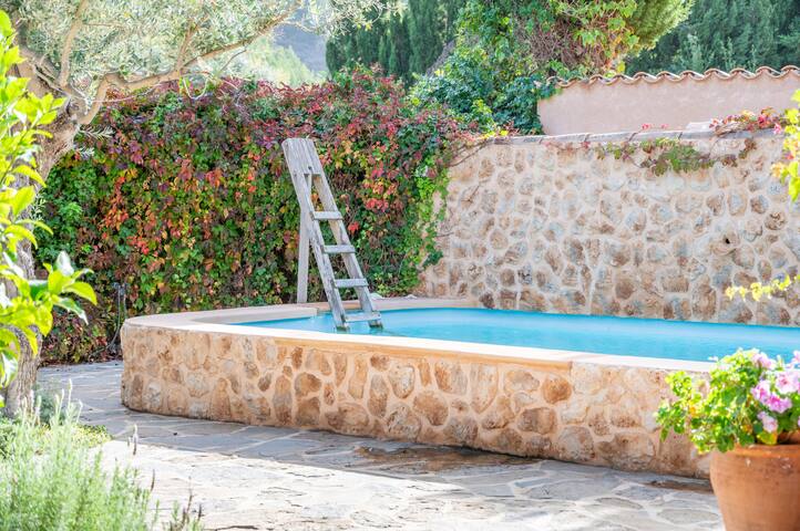 Casa Amber gallery image 2