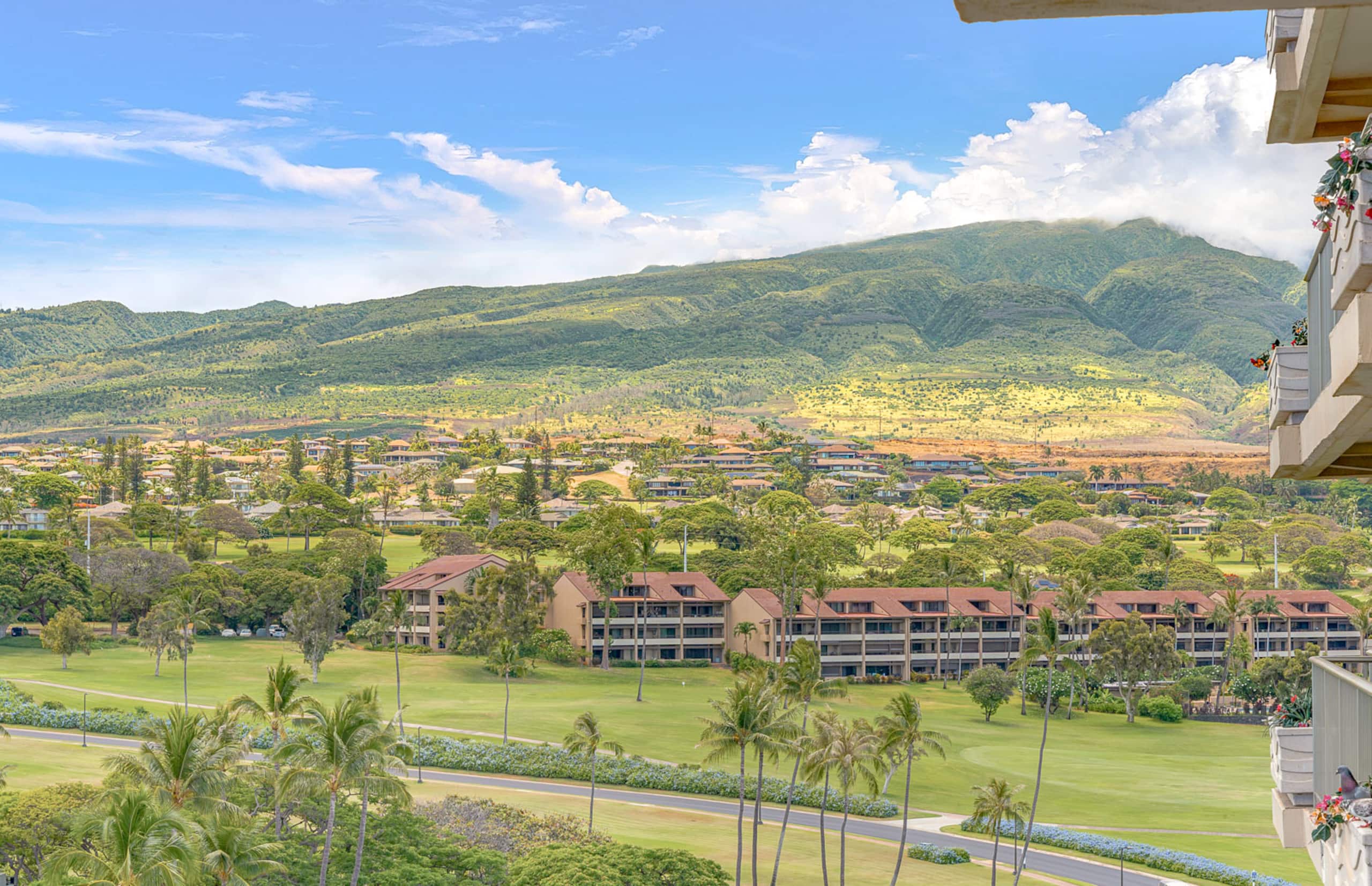 Condo in Lahaina · ★4.91 · Studio · 2 beds · 1 bath - Image 15