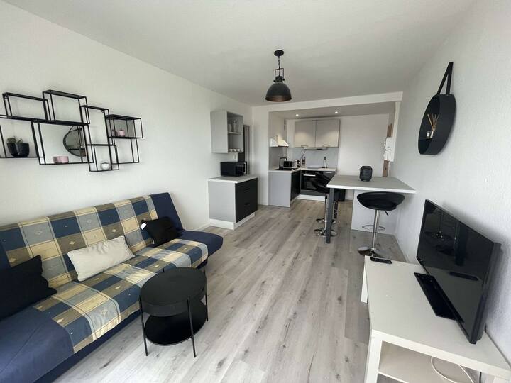 Apartment SaintHilairedeRiez, 1 bedroom, 4 pers Apartments for