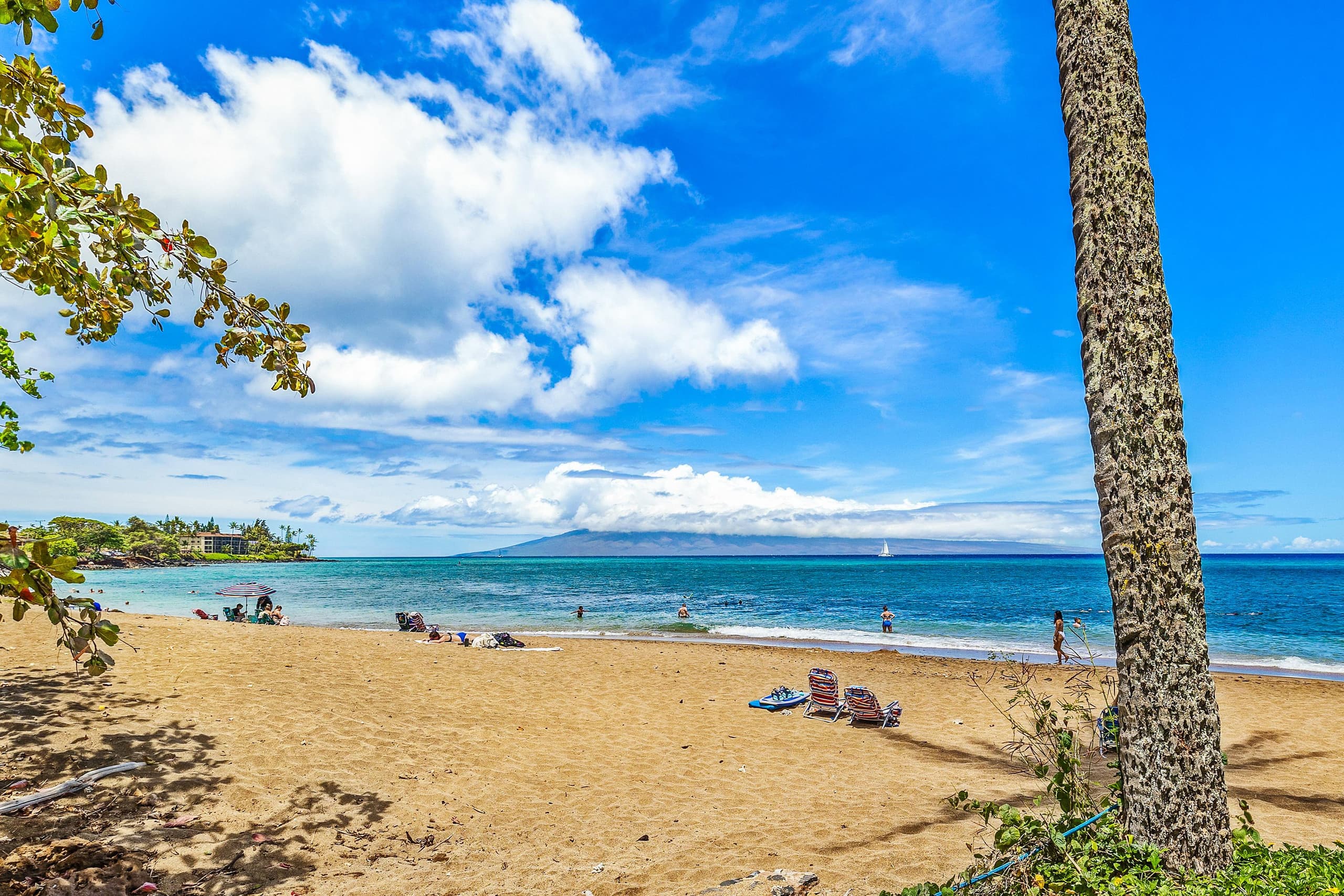 Condo in Lahaina · ★4.96 · 1 bedroom · 1 bed · 1 bath - Image 42