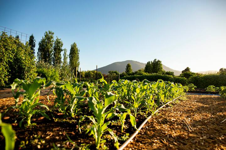 Dairy House @ Harvest Farm. Idyllic cottage stay. gallery image 4
