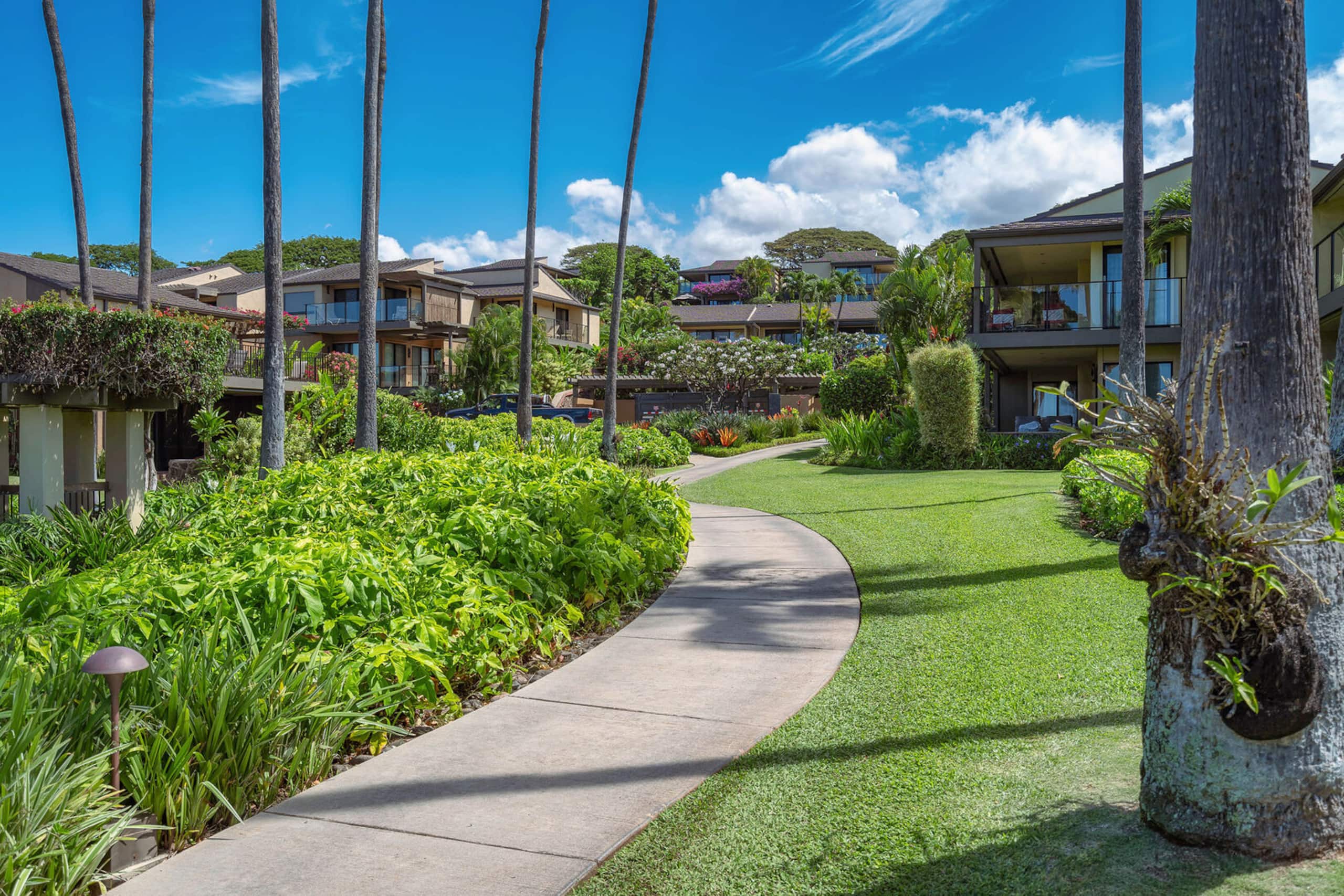 Condo in Kihei · ★4.8 · 1 bedroom · 2 beds · 1 bath - Image 31