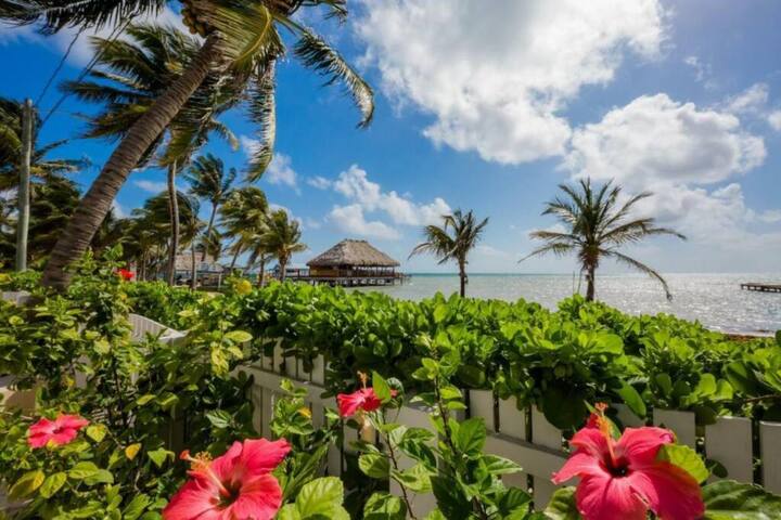 Ocean View Villa – Close To Town With Pool! gallery image 5