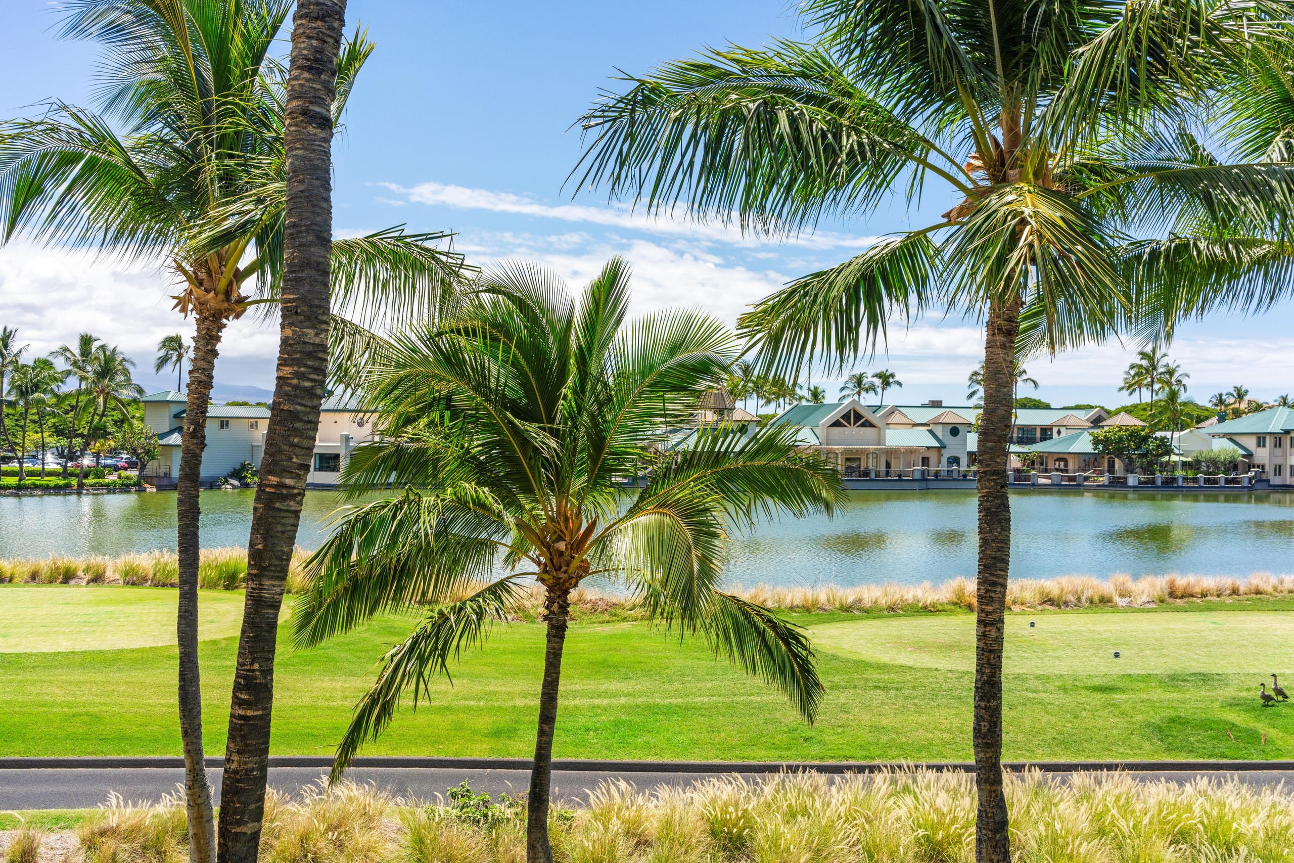 Beautiful Lake Views. N24 Waikoloa Fairway Villas - Photo 43