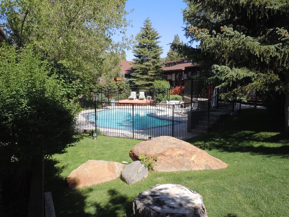 A serene backyard setting is showcased, featuring a fenced-in pool surrounded by lush greenery. Smooth stones and a tree stump are positioned on soft grass, while tall pines provide a natural backdrop. Sunlight brightens the scene, creating a peaceful outdoor space.