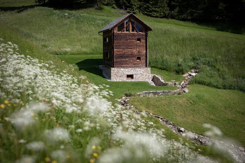 Burgfrieder Mühle