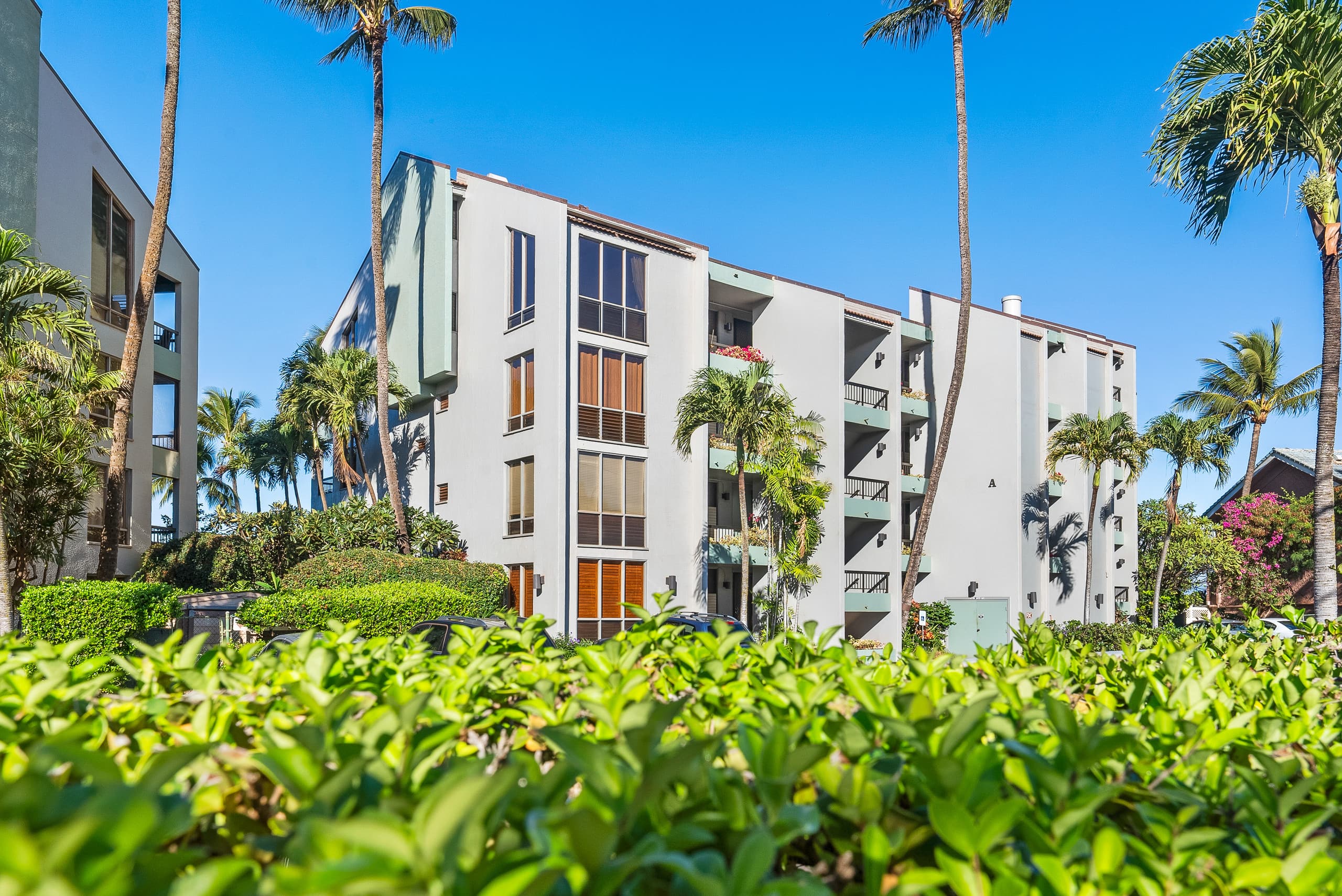 Condo in Lahaina · ★4.8 · 1 bedroom · 2 beds · 1 bath - Image 23