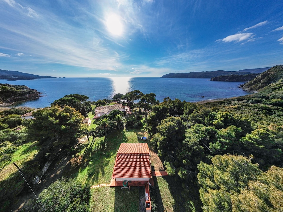 A panoramic view reveals the serene coastline with gentle waves, set against a clear blue sky. Lush greenery surrounds the property, including trees and shrubs, enhancing the natural beauty of the location. The shimmering sea extends towards the horizon, suggesting a tranquil atmosphere.