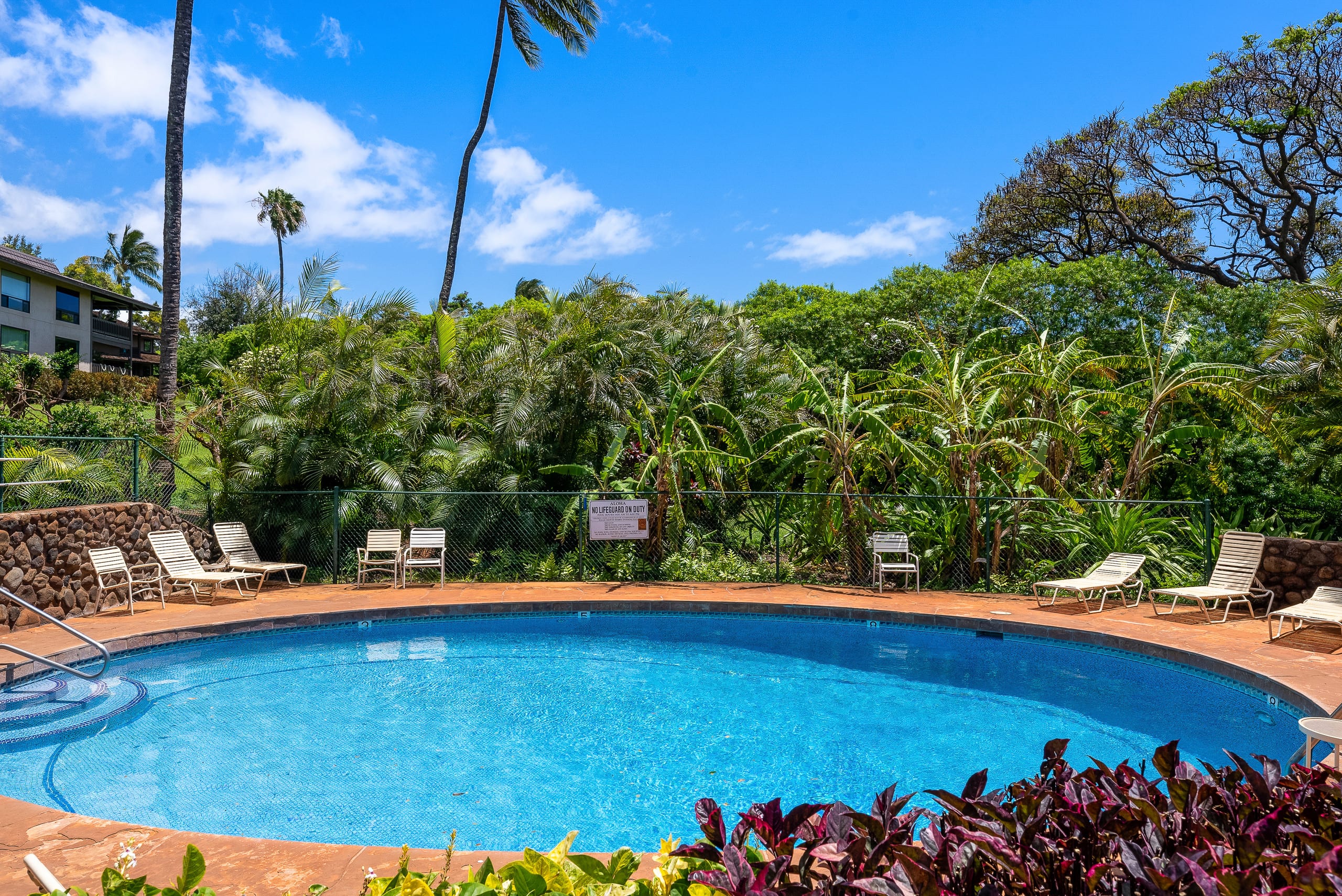 Condo in Lahaina · ★4.8 · 2 bedrooms · 2 beds · 2 baths - Image 46
