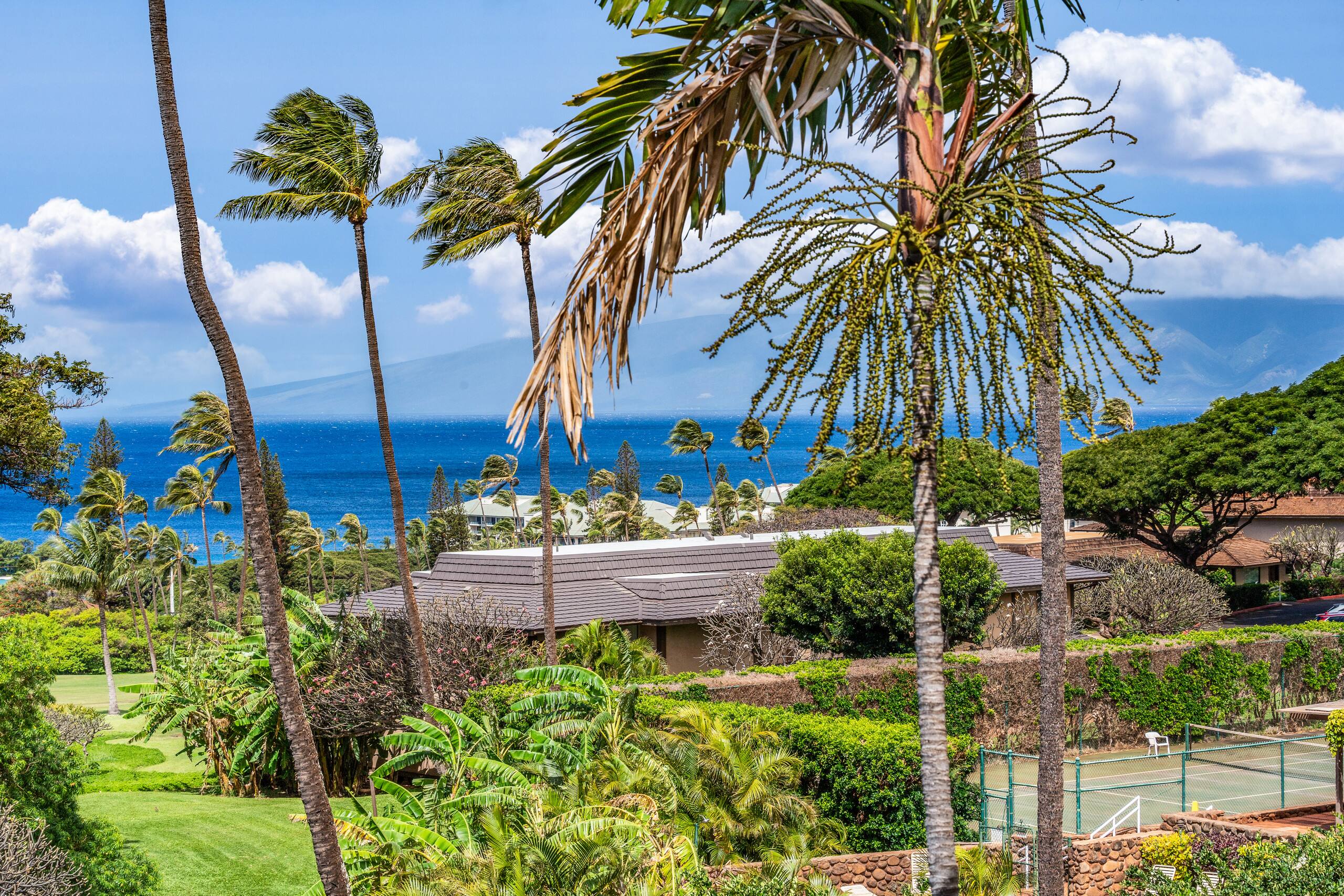 Condo in Lahaina · ★4.8 · 2 bedrooms · 2 beds · 2 baths - Image 35