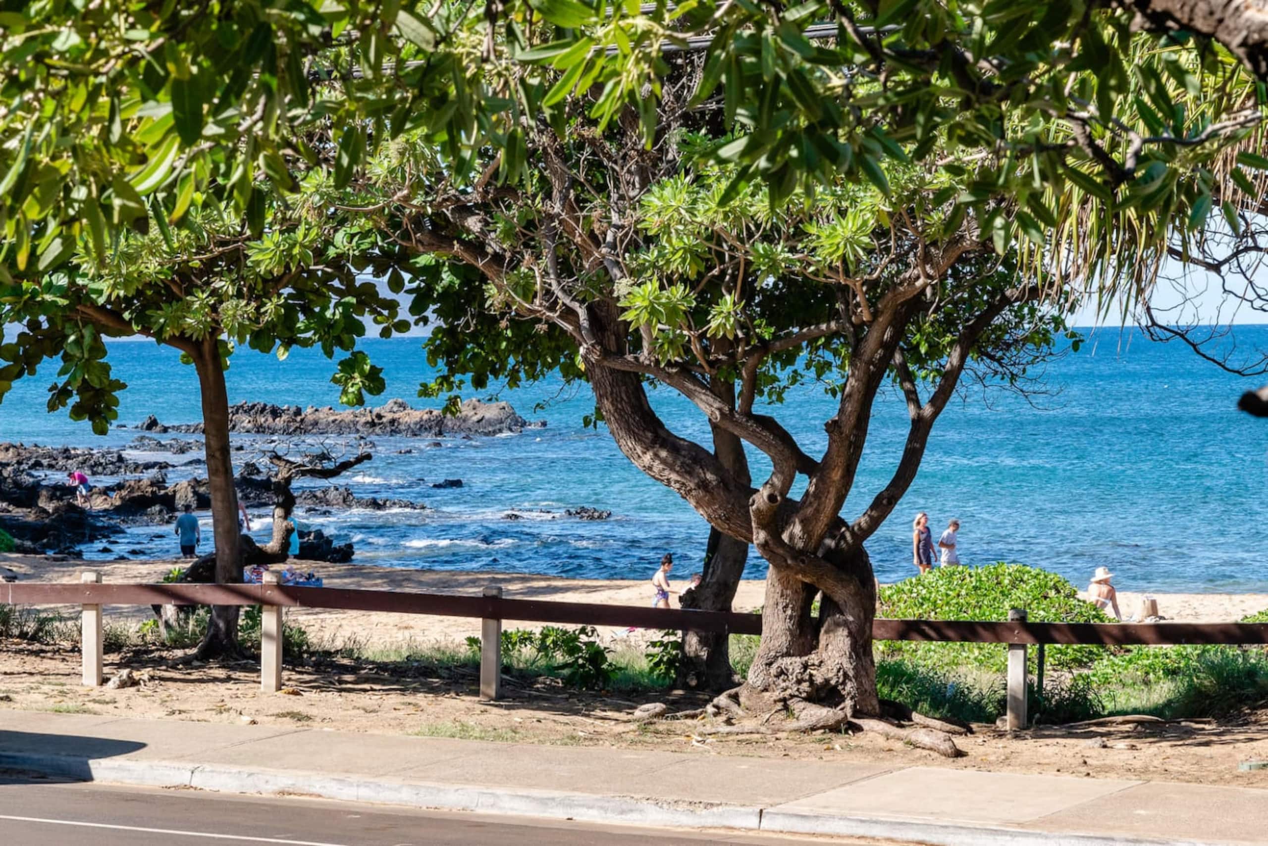 Modern Studio Beach Vistas - Image 10