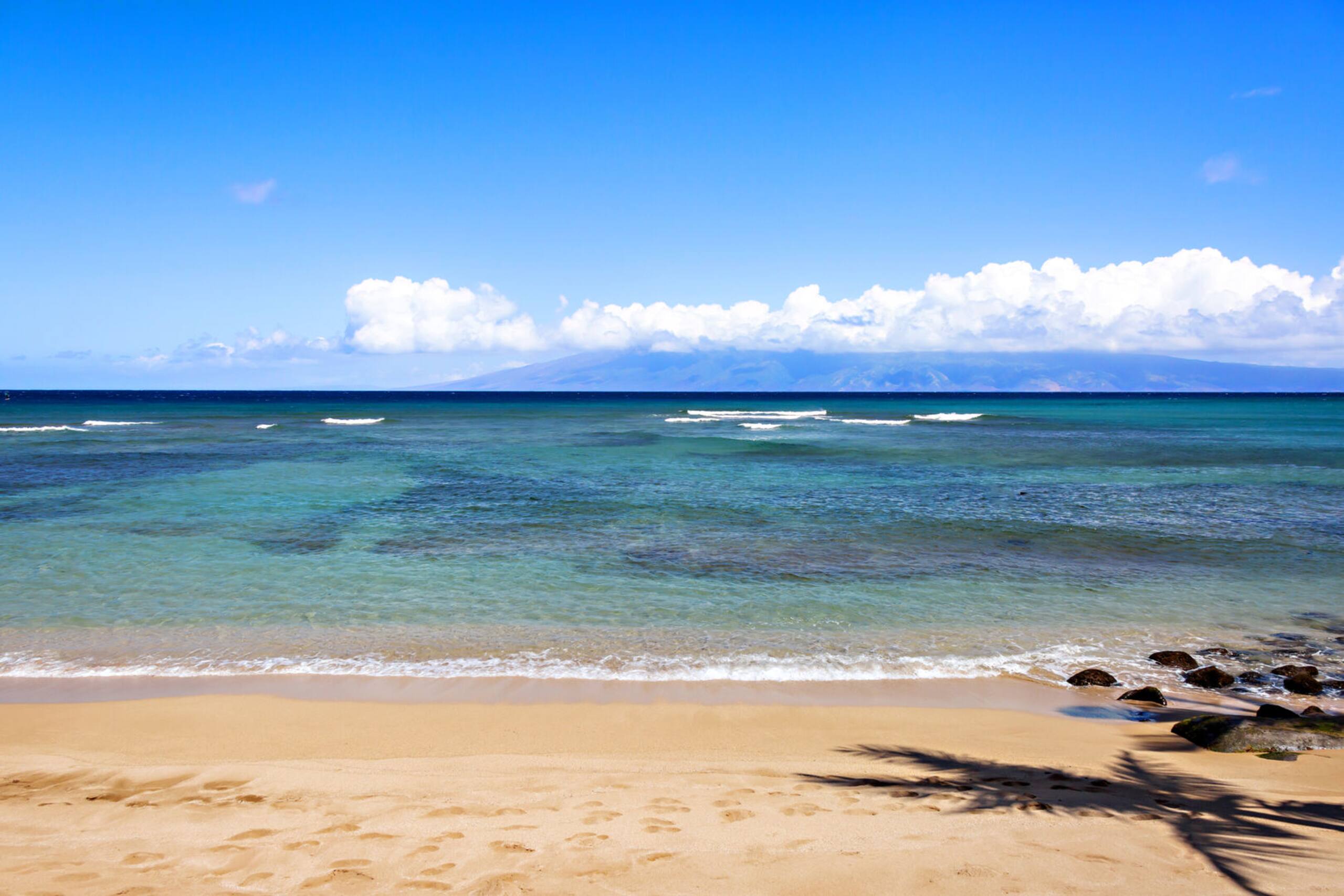 Condo in Lahaina · ★4.82 · 1 bedroom · 2 beds · 1 bath - Image 14