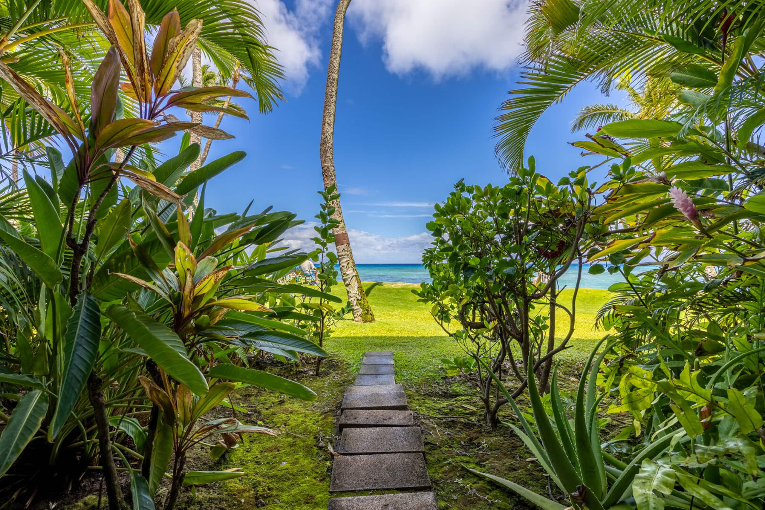 Condo in Lahaina · ★4.82 · 1 bedroom · 2 beds · 1 bath - Image 2