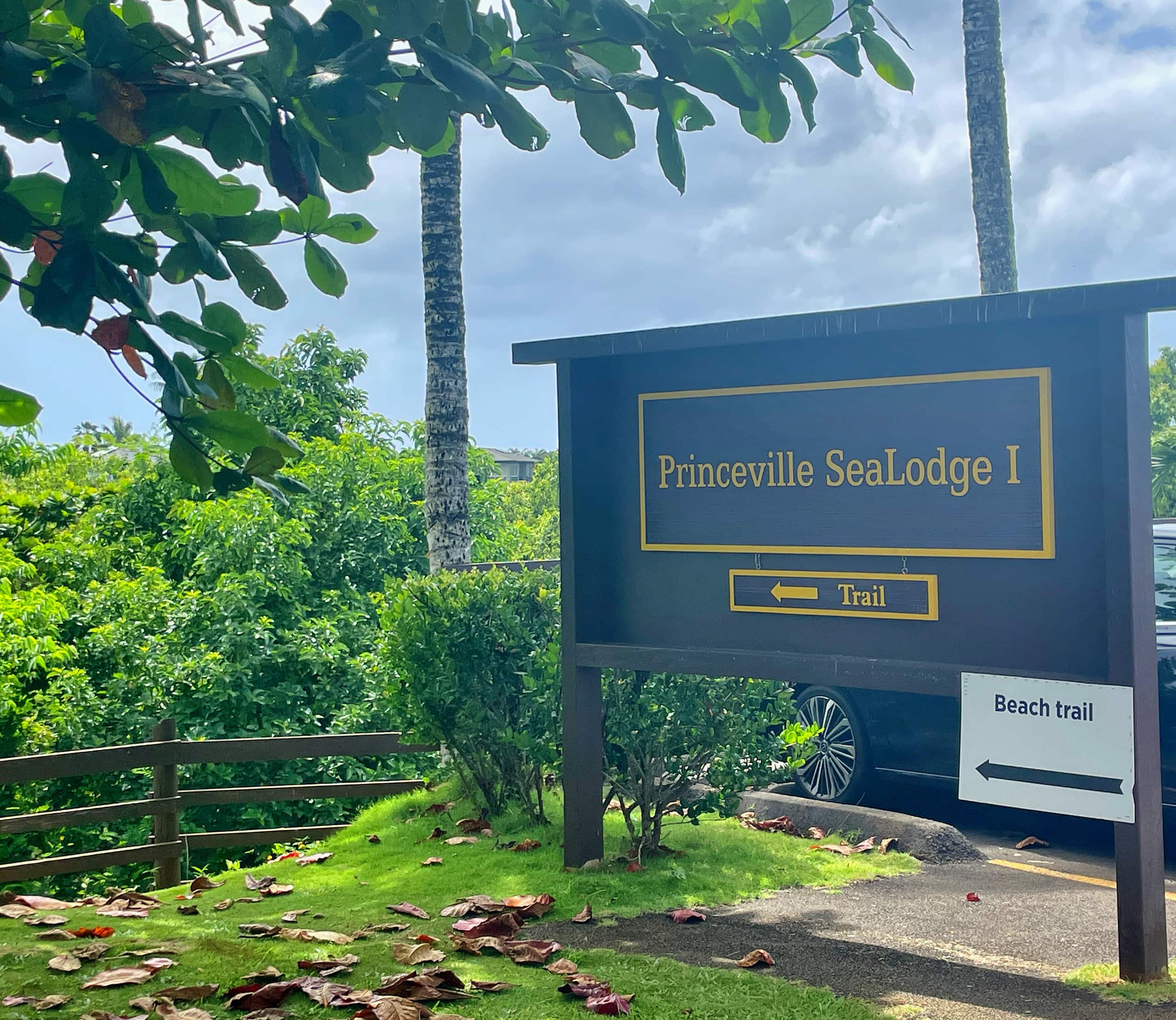 Condo in Princeville · ★4.88 · Studio · 1 bed · 1 bath - Image 28