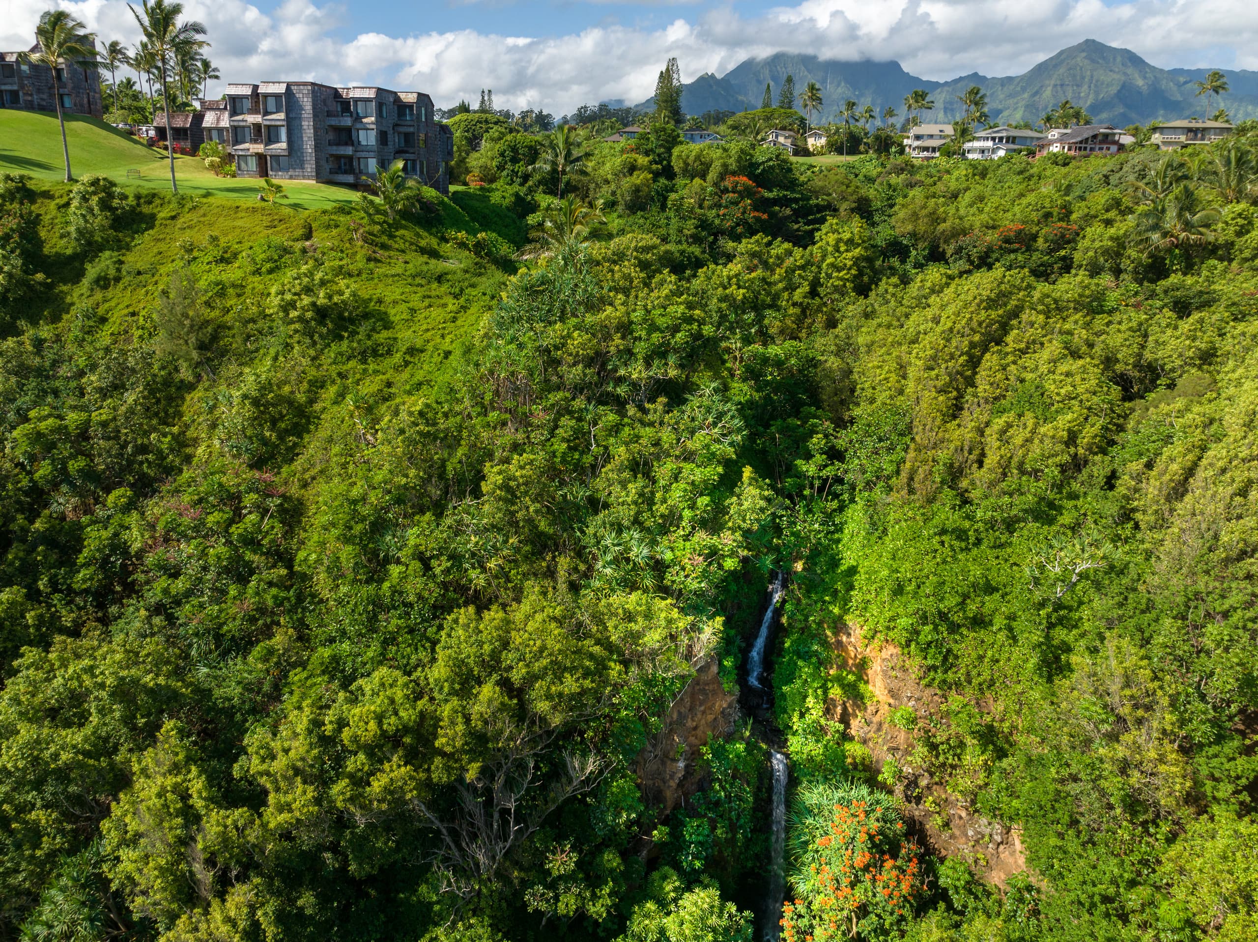 Condo in Princeville · ★4.88 · Studio · 1 bed · 1 bath - Image 32