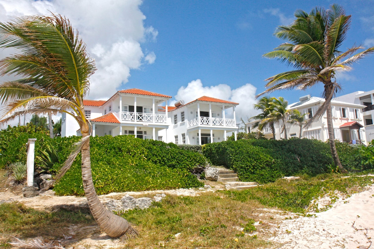 The villa stands elegantly above the beach, framed by lush greenery and swaying palm trees. Its white facade and red clay roof harmonize with the coastal landscape under a bright blue sky, offering a serene view of the beachfront property.