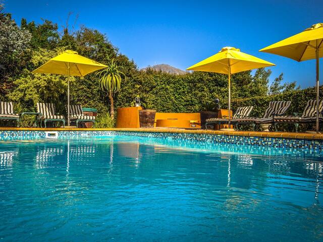 Buffalo Suite gallery image 3