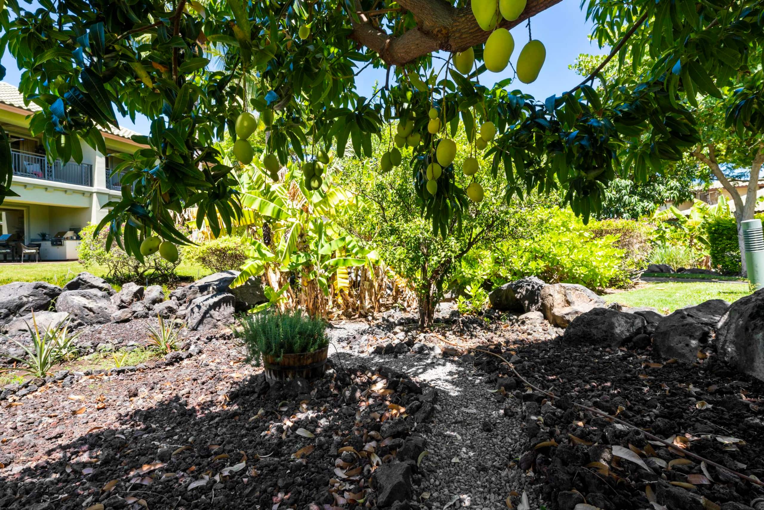 Townhouse in Waimea · ★4.95 · 2 bedrooms · 2 beds · 2 baths - Image 54