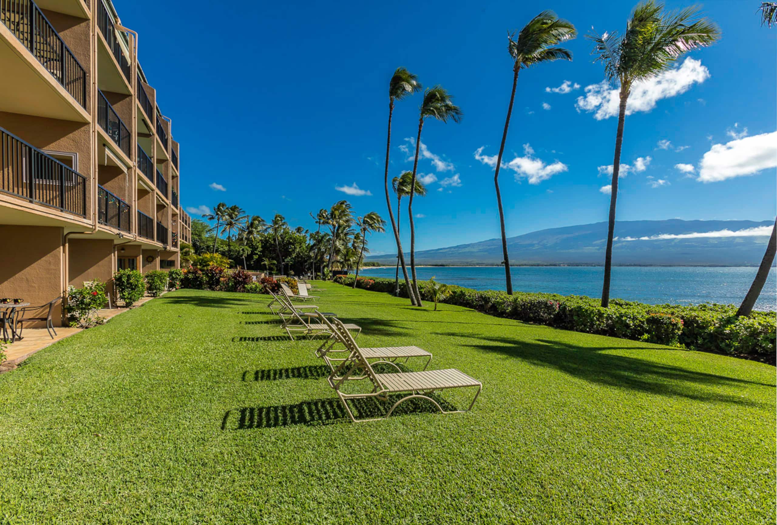 Condo in Wailuku · ★4.43 · 1 bedroom · 1 bed · 1 bath - Image 36