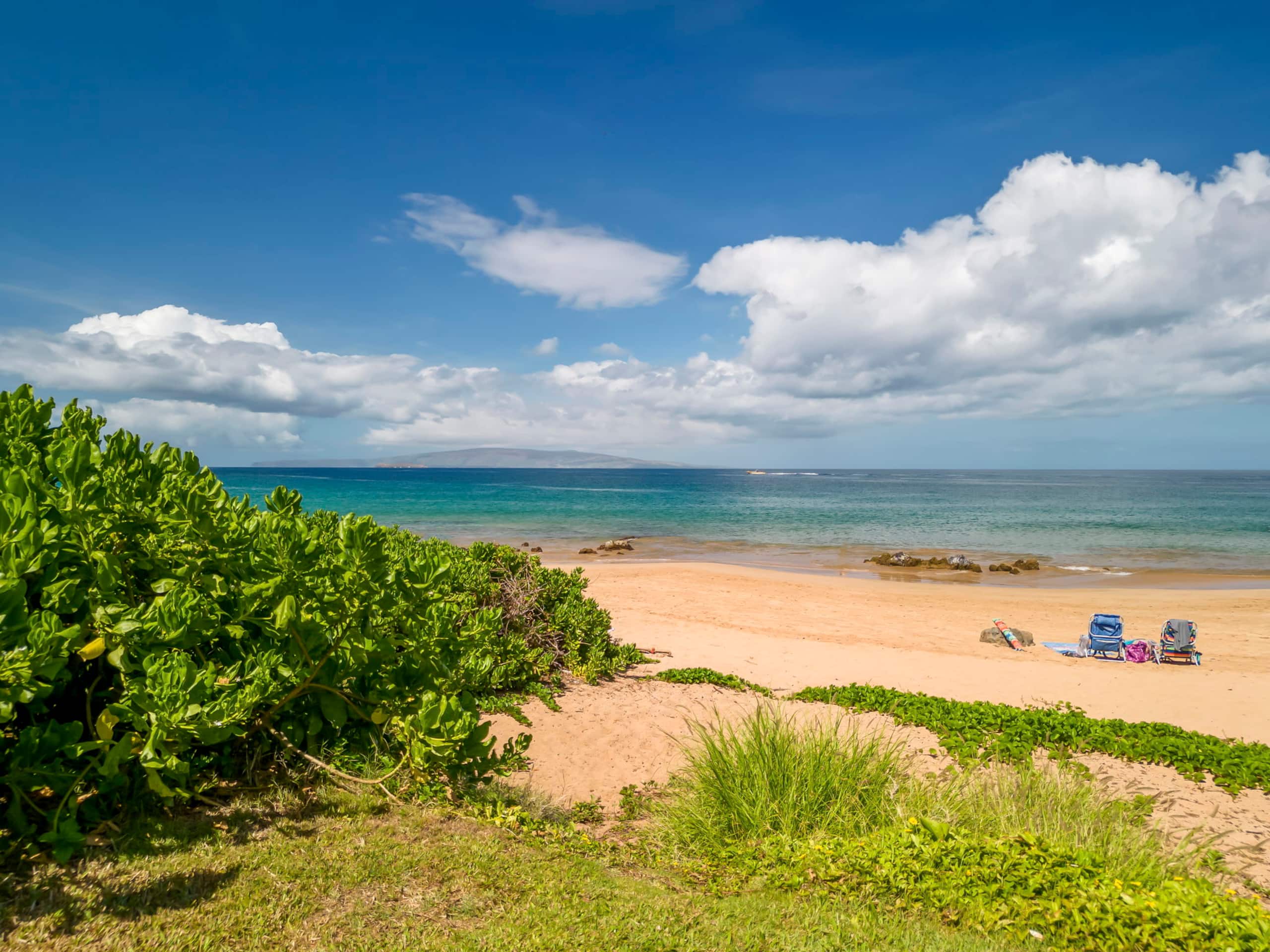 Condo in Kihei · ★4.92 · 2 bedrooms · 3 beds · 2 baths - Image 43