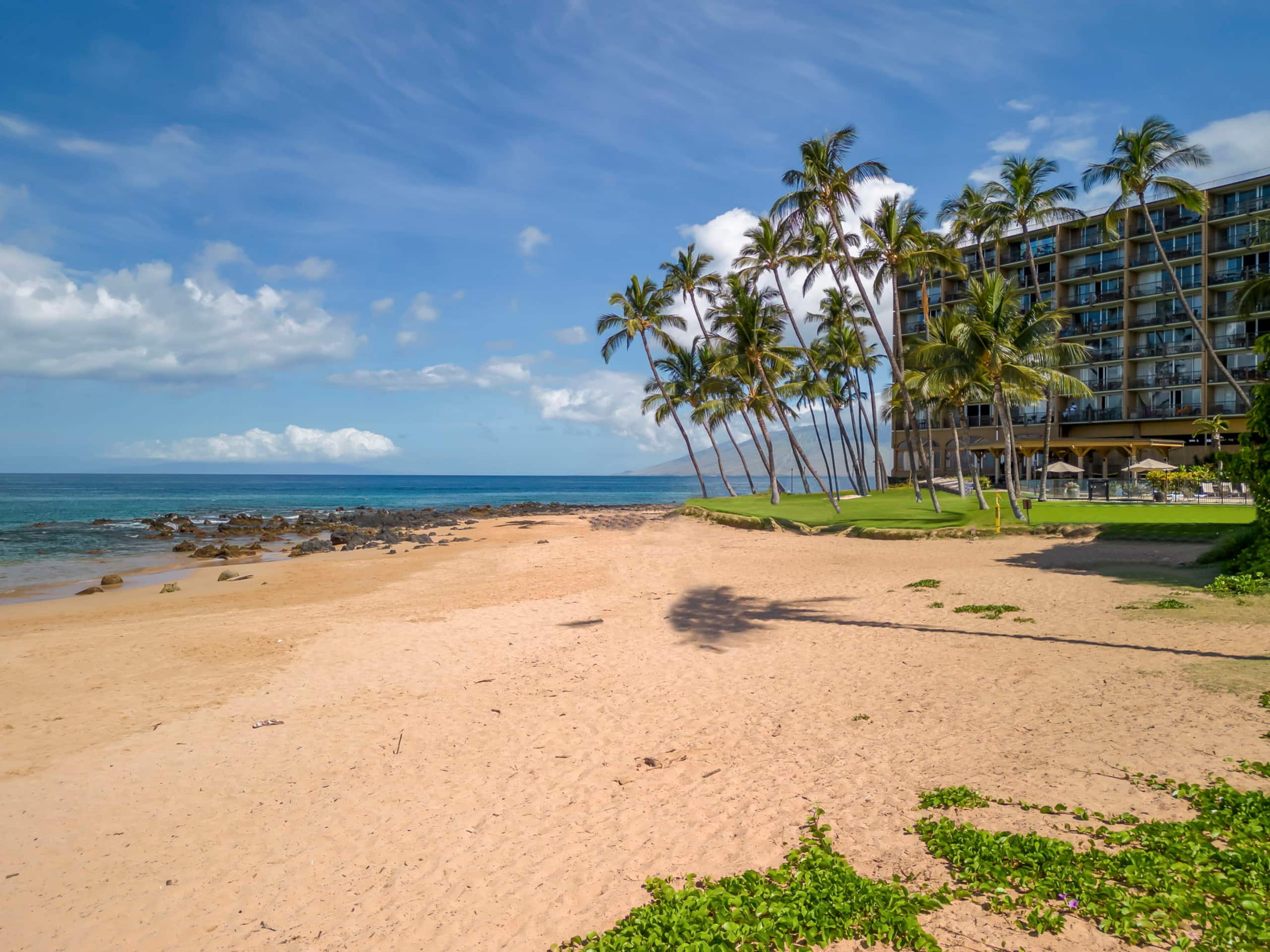 Condo in Kihei · ★4.92 · 2 bedrooms · 3 beds · 2 baths - Image 42