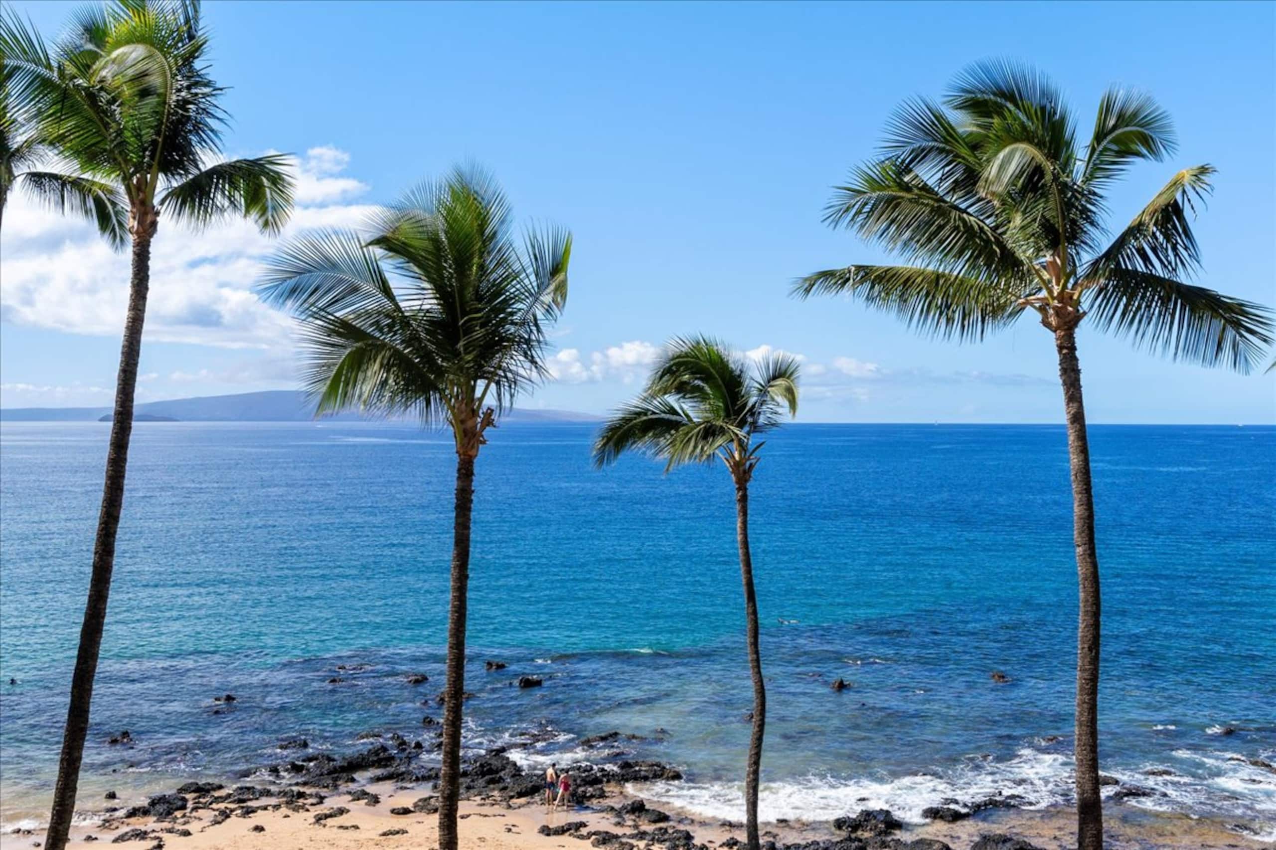 Condo in Kihei · ★4.92 · 2 bedrooms · 3 beds · 2 baths - Image 9