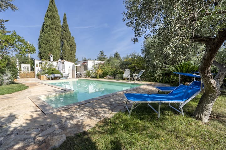 Villa Massa gallery image 3