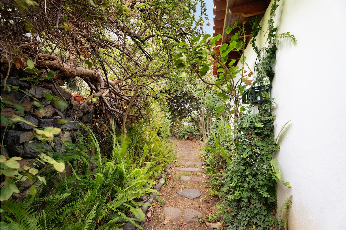 A natural pathway is framed by lush greenery, leading toward the entrance of a holiday apartment. The path is lined with various plants, including ferns and climbing vines, creating a serene and inviting atmosphere.