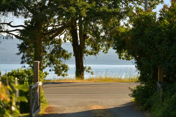 The Bayside Cottage gallery image 4