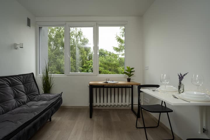 Nordic Studio In Prime Vilnius Location 139 - Vilnius