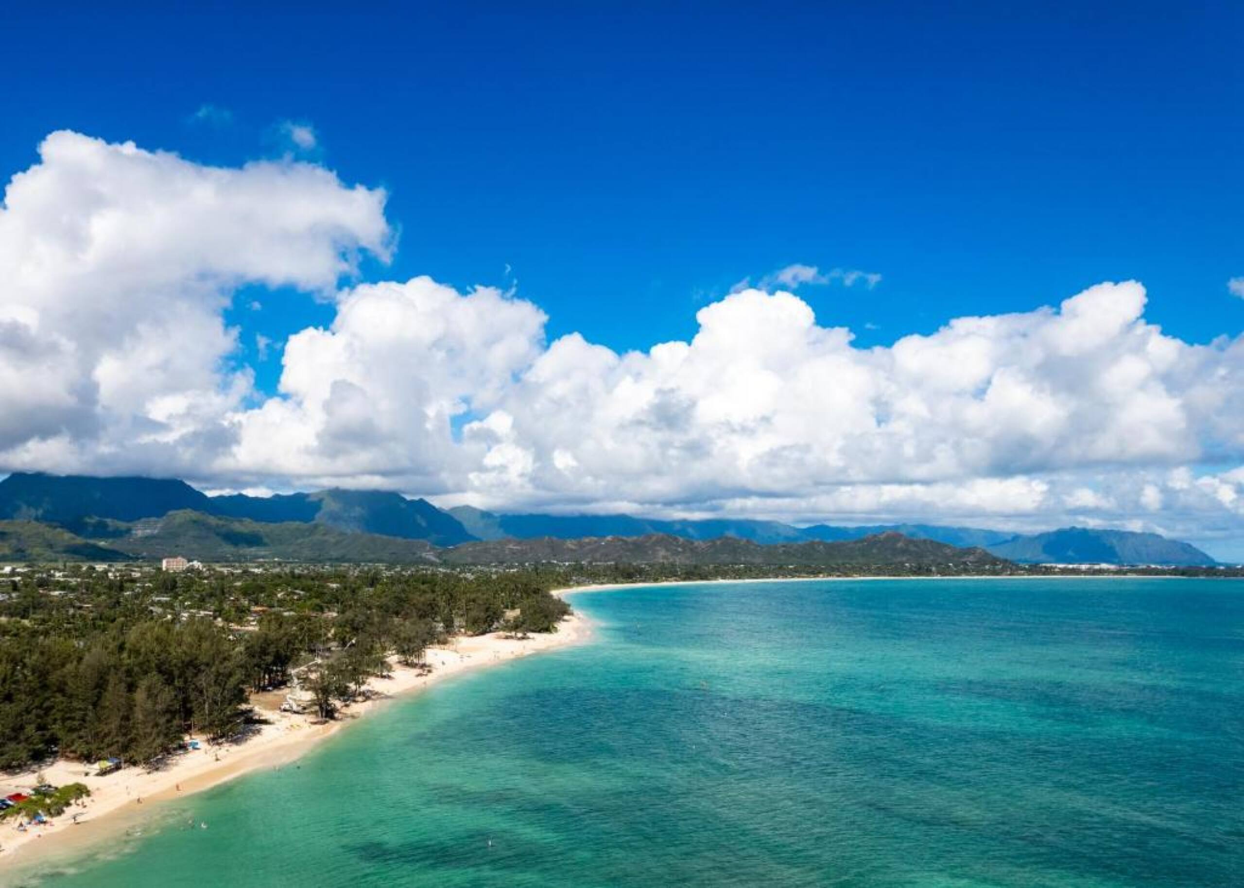 Hotel in Honolulu · ★4.84 · 1 bedroom · 1 bed · 1 shared bath - Image 26