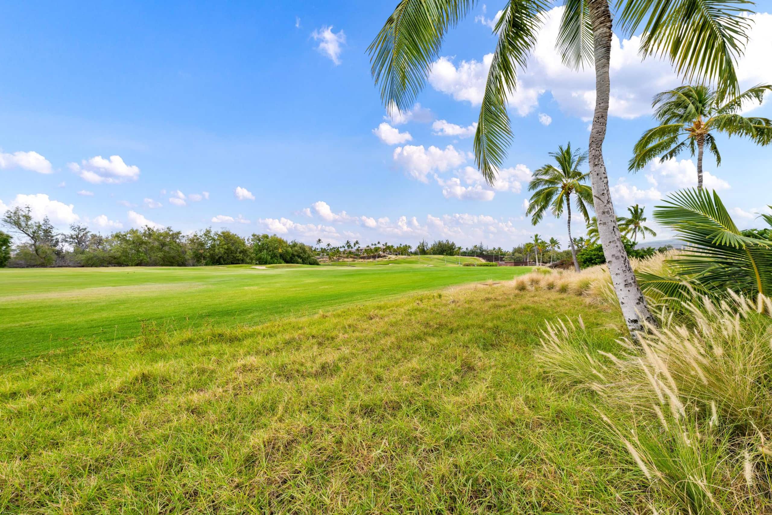 Waikoloa Golf Discounts. E2 Waikoloa Fairway - Photo 47