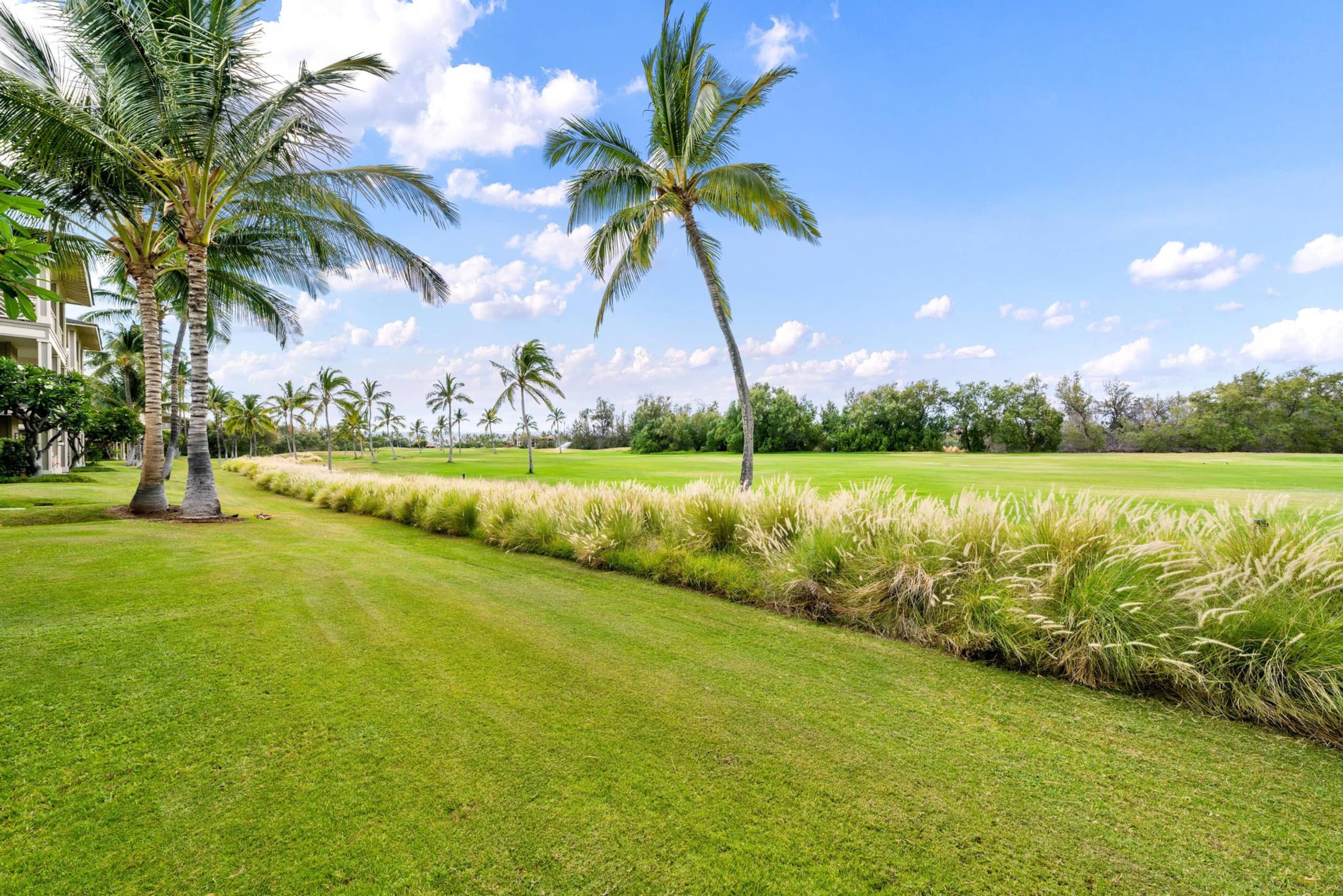 Waikoloa Golf Discounts. E2 Waikoloa Fairway - Photo 49