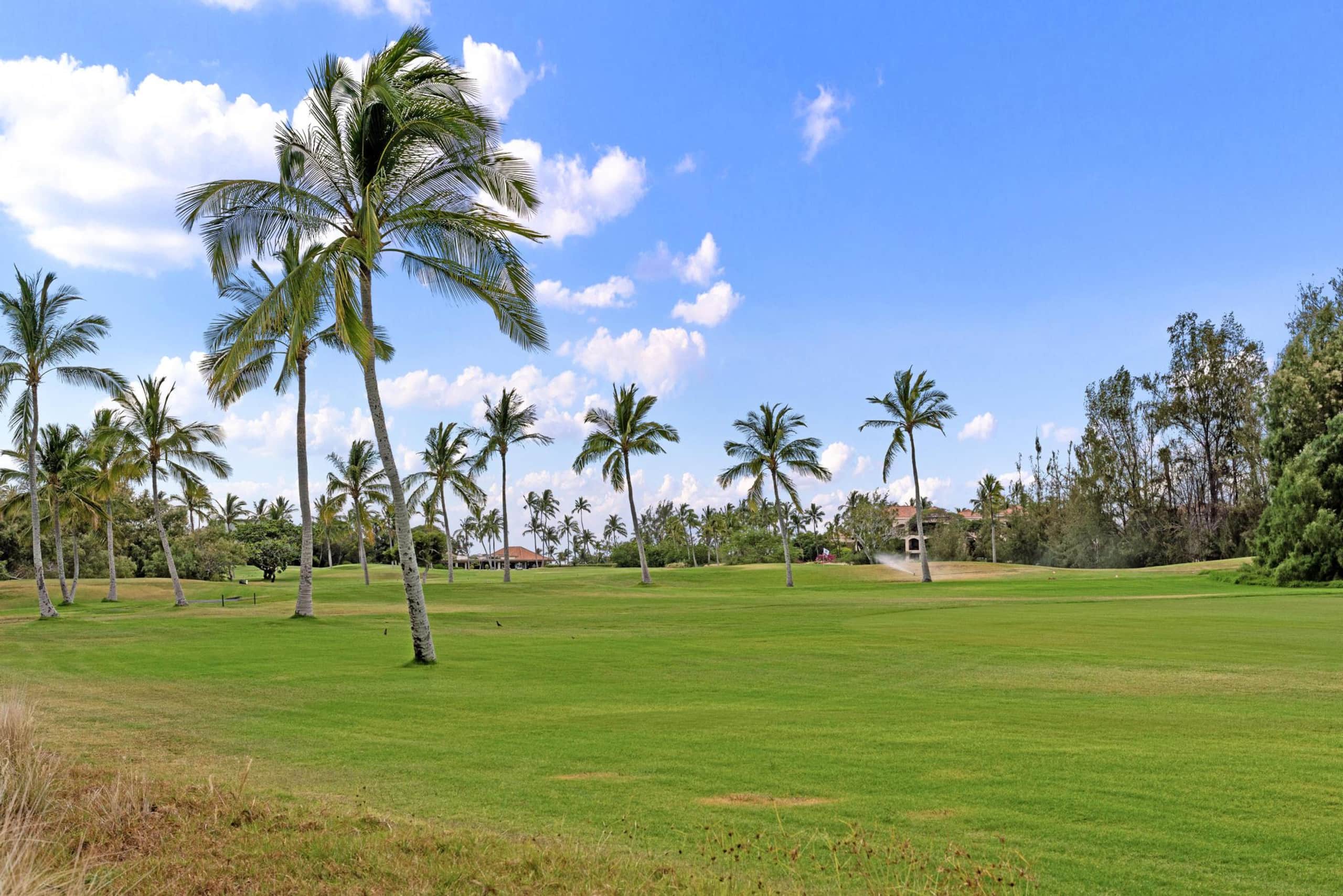 Waikoloa Golf Discounts. E2 Waikoloa Fairway - Photo 50