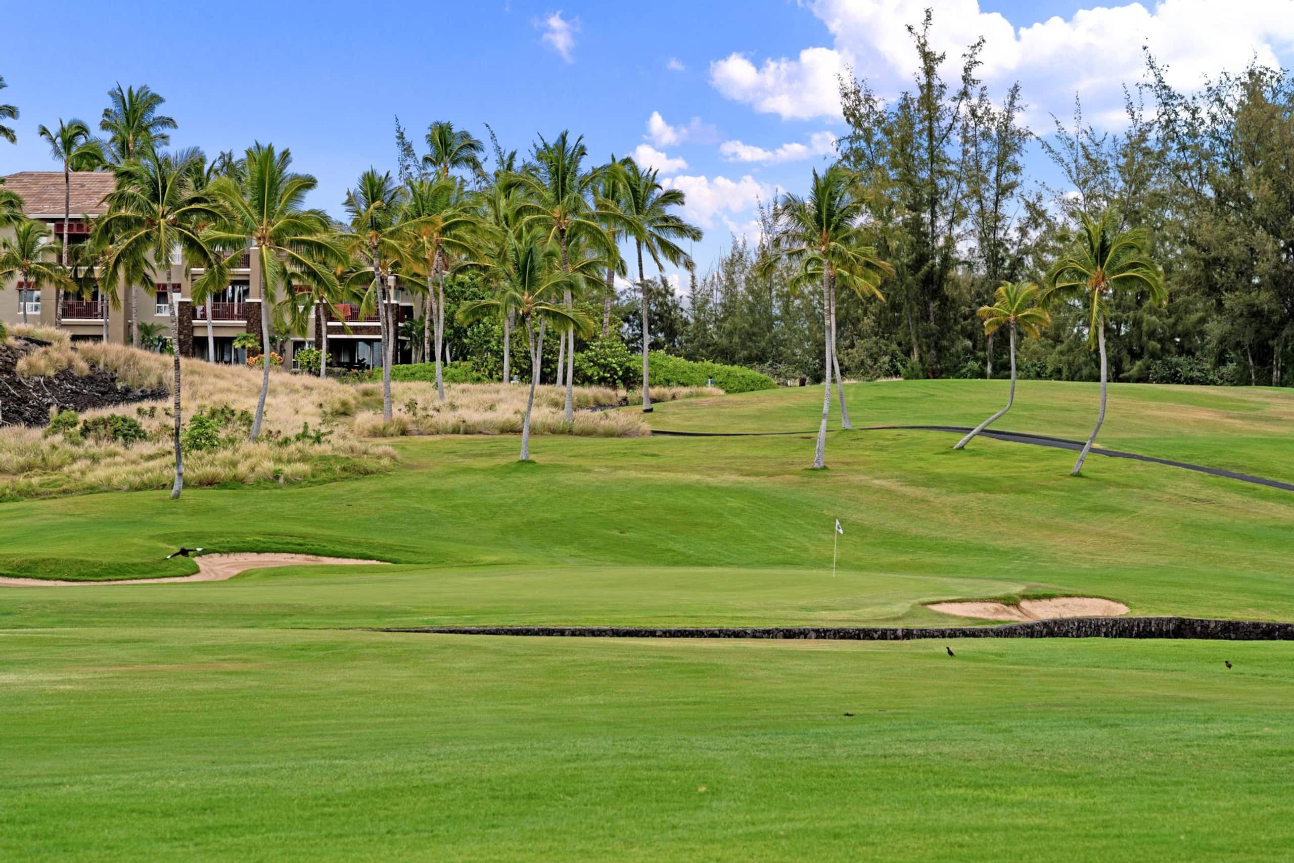 Waikoloa Golf Discounts. E2 Waikoloa Fairway - Photo 48