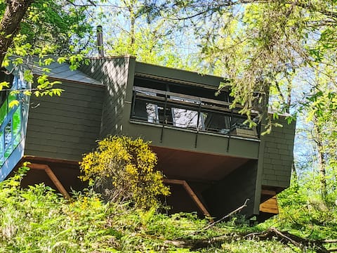 Bosco della Bella 6 by Interhome.