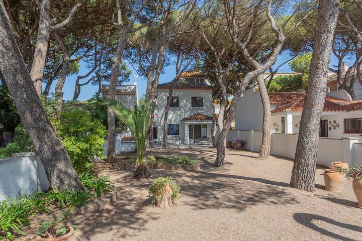 villa els pins – house on the seafront in playa de gallery image 5