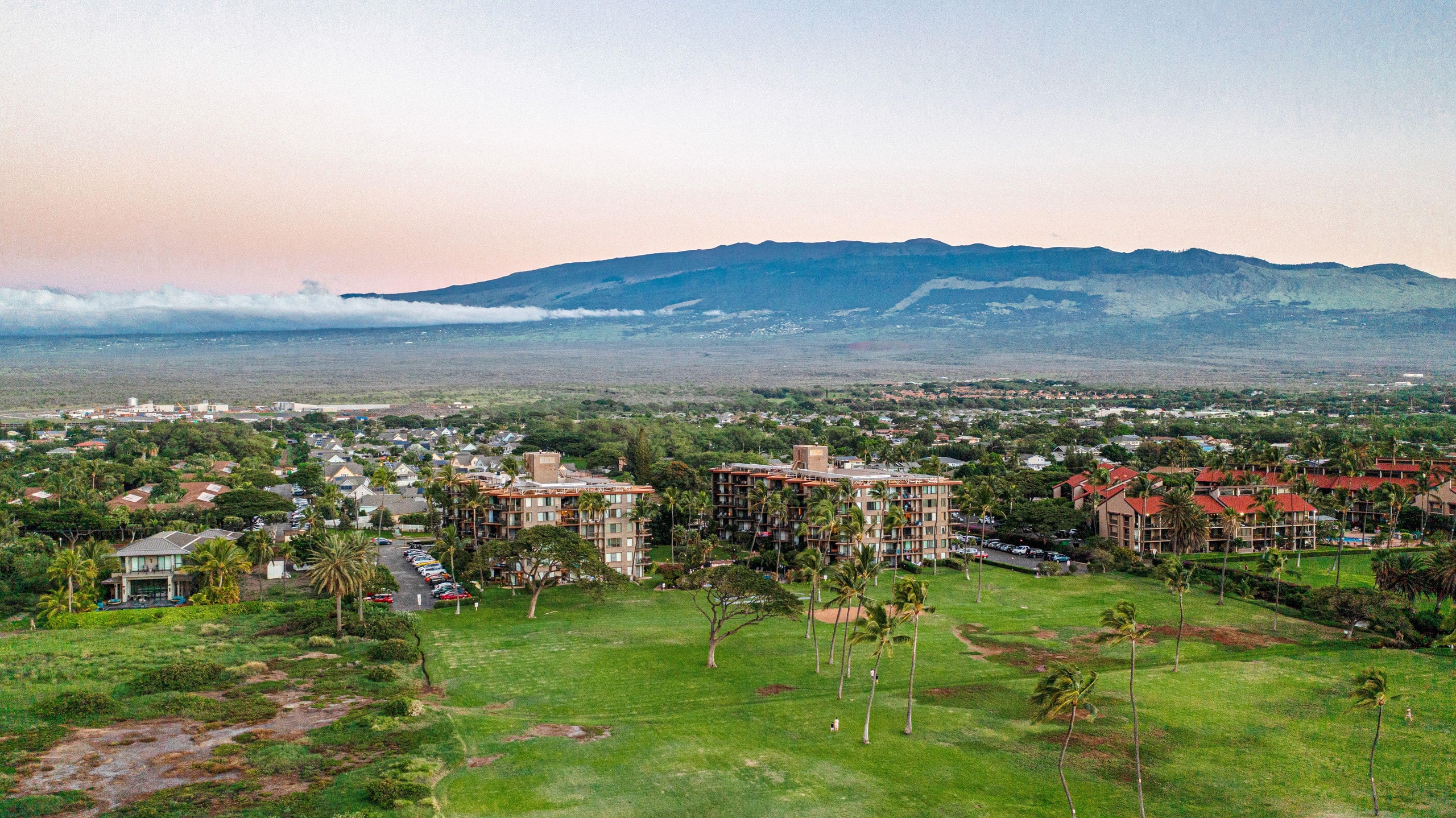 Condo in Kihei · ★5.0 · 1 bedroom · 2 beds · 1 bath - Image 45