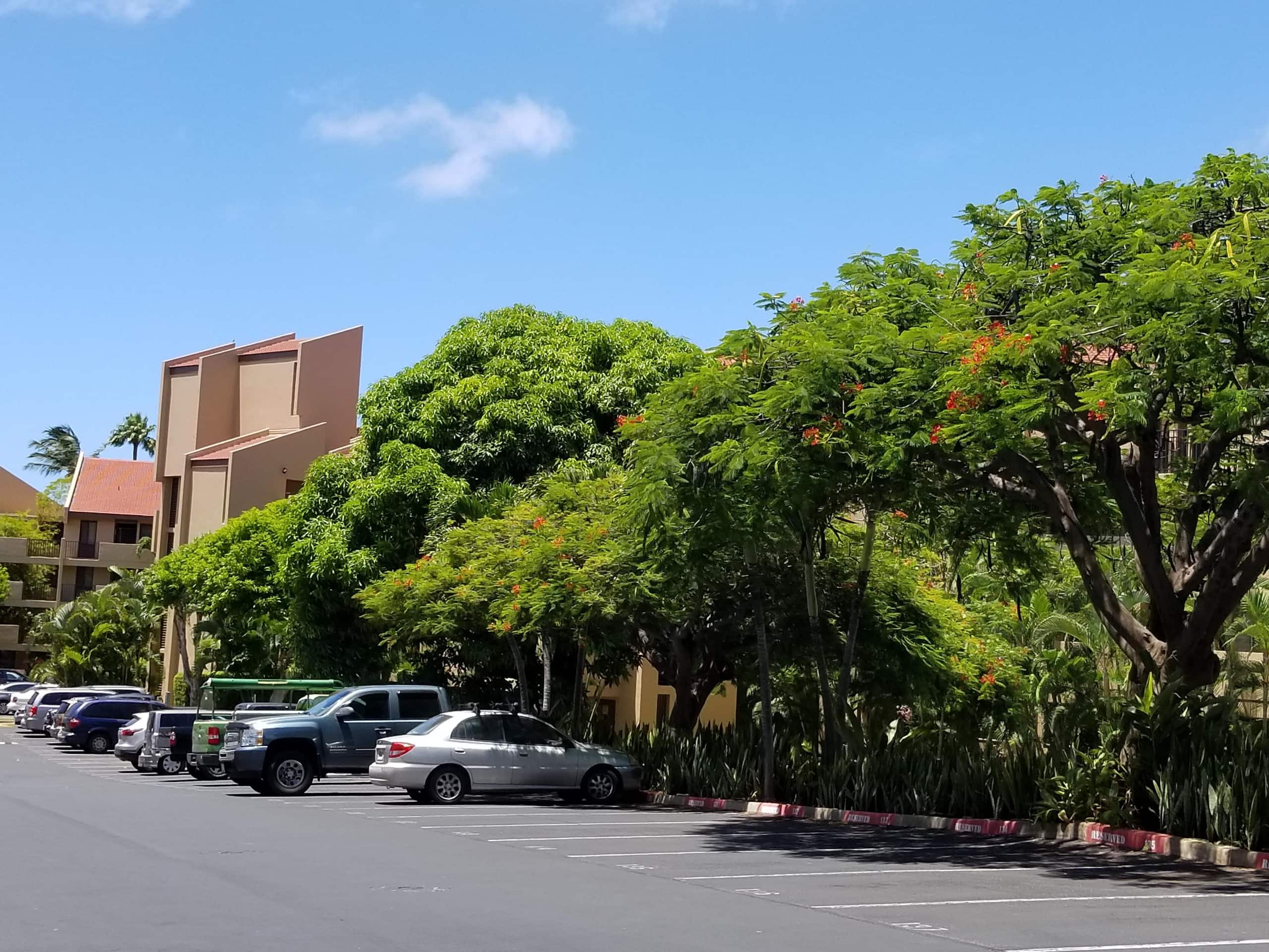 Condo in Kihei · ★4.68 · 3 bedrooms · 5 beds · 3 shared baths - Image 53