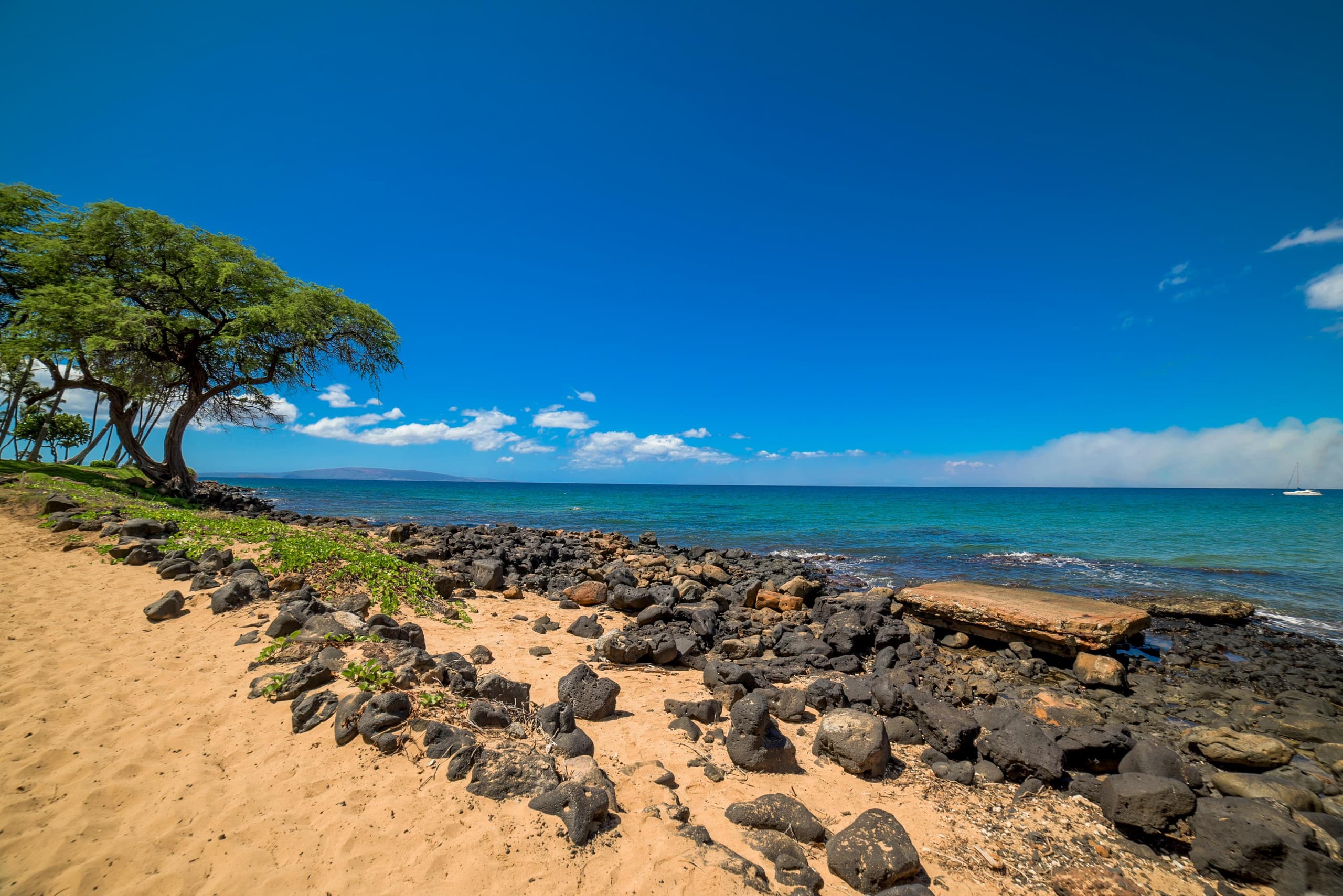 Condo in Kihei · ★4.92 · 3 bedrooms · 4 beds · 2 shared baths - Image 55