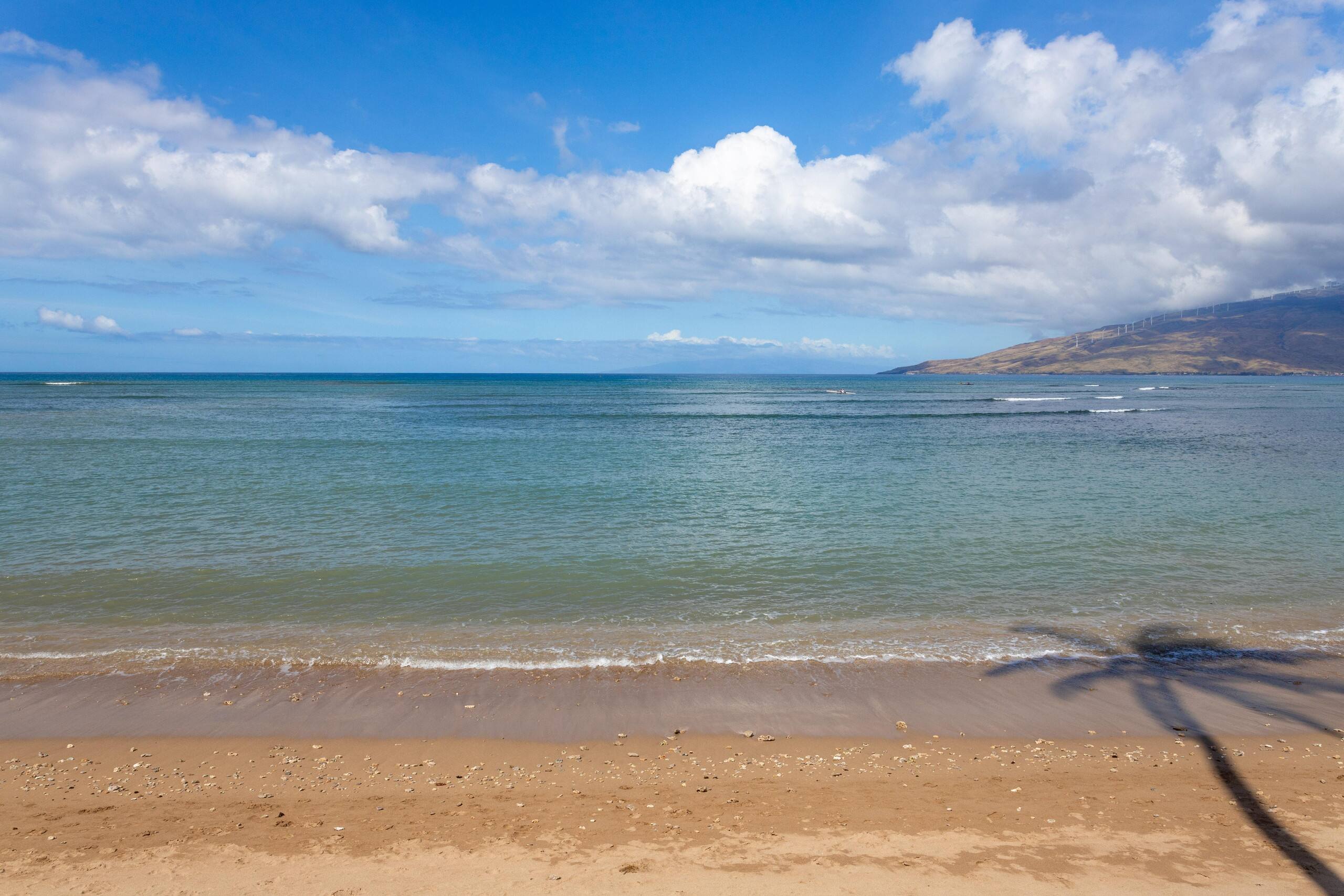 Condo in Kihei · ★4.33 · 1 bedroom · 3 beds · 2 shared baths - Image 34