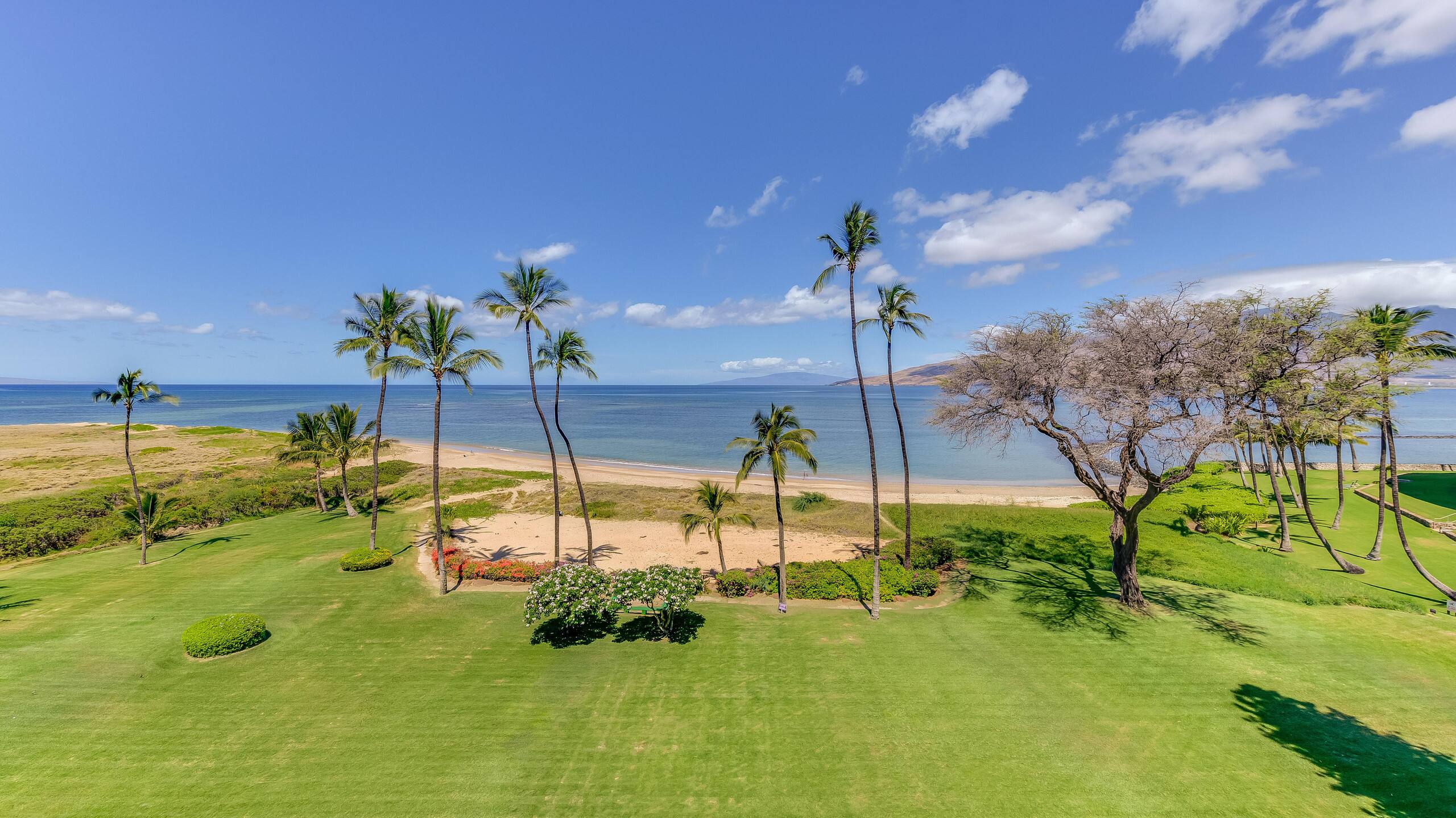 Condo in Kihei · ★4.0 · 1 bedroom · 2 beds · 1 bath - Image 32