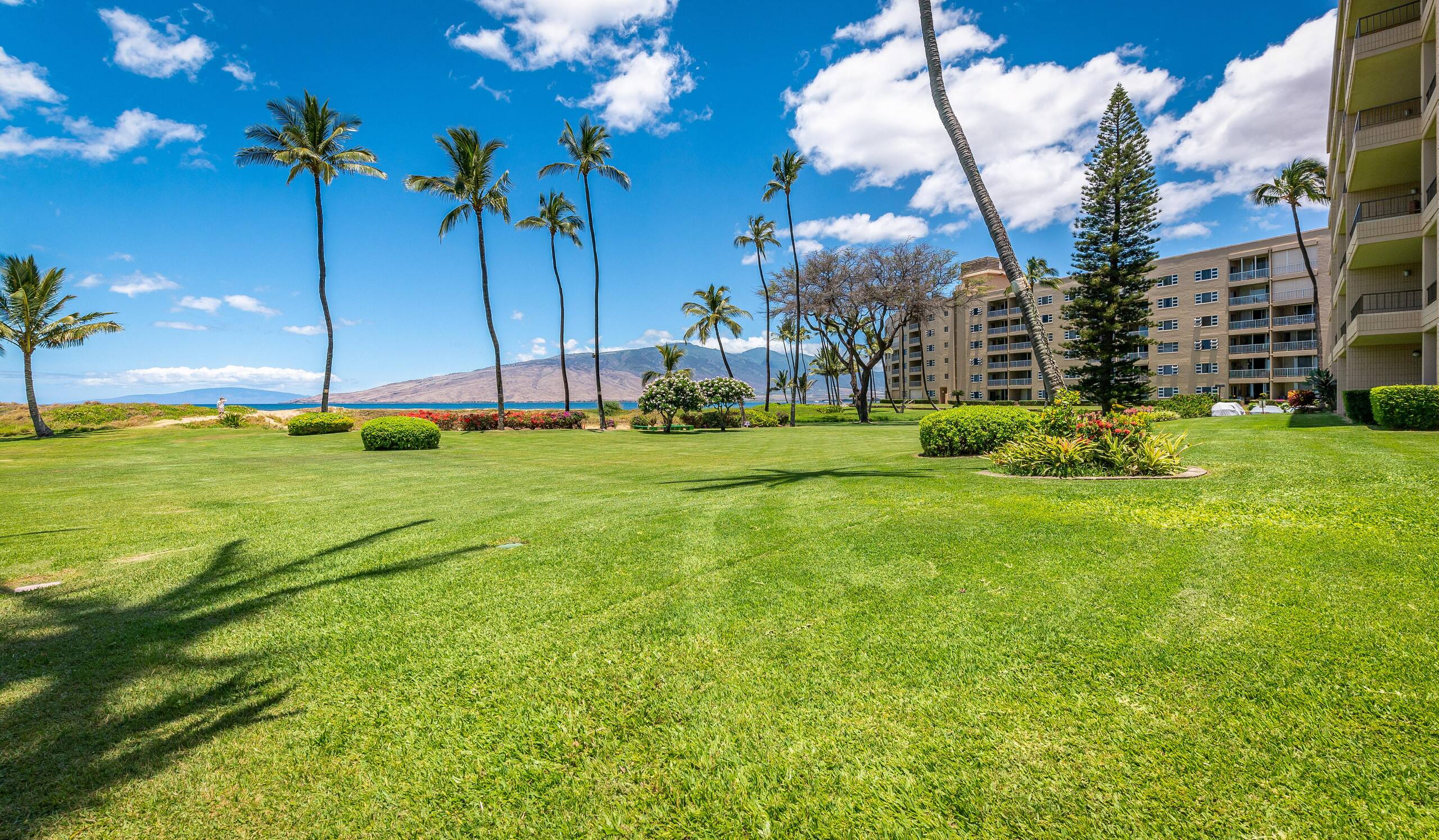 Condo in Kihei · ★4.0 · 1 bedroom · 2 beds · 1 bath - Image 43