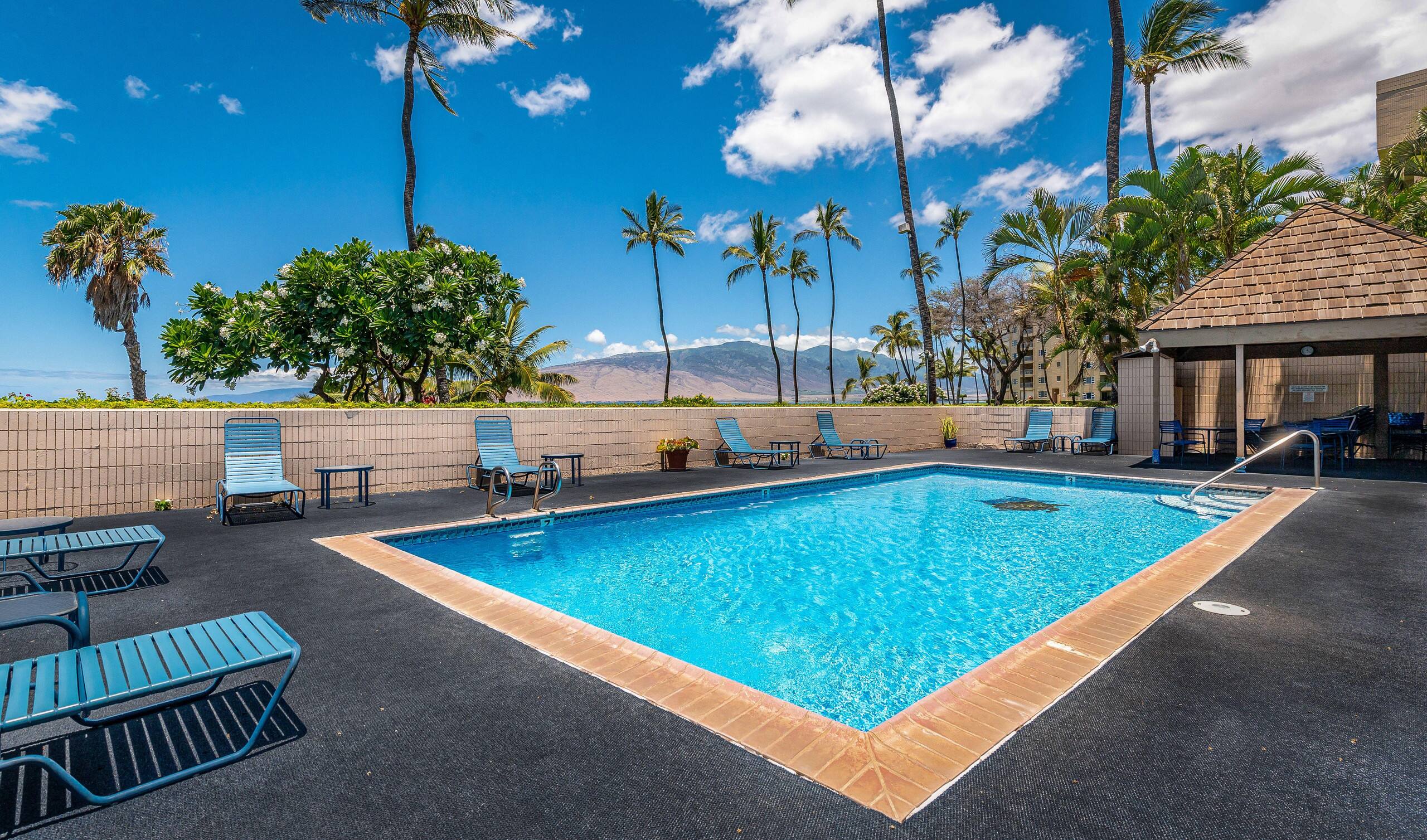 Condo in Kihei · ★4.86 · 1 bedroom · 2 beds · 1 bath - Image 5