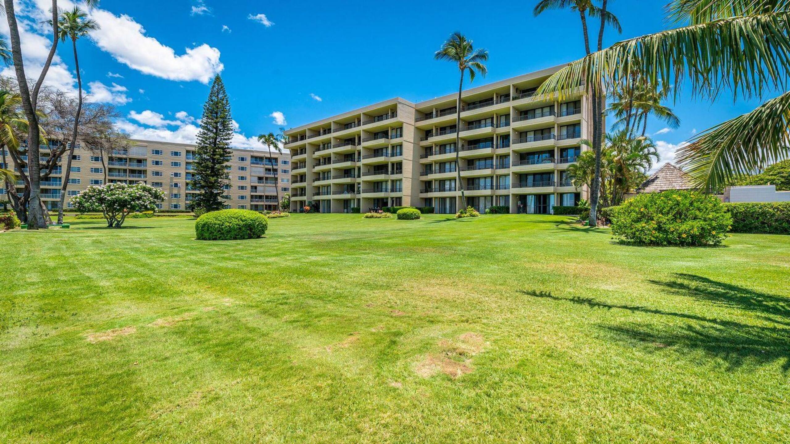 Condo in Kihei · ★4.86 · 1 bedroom · 2 beds · 1 bath - Image 34