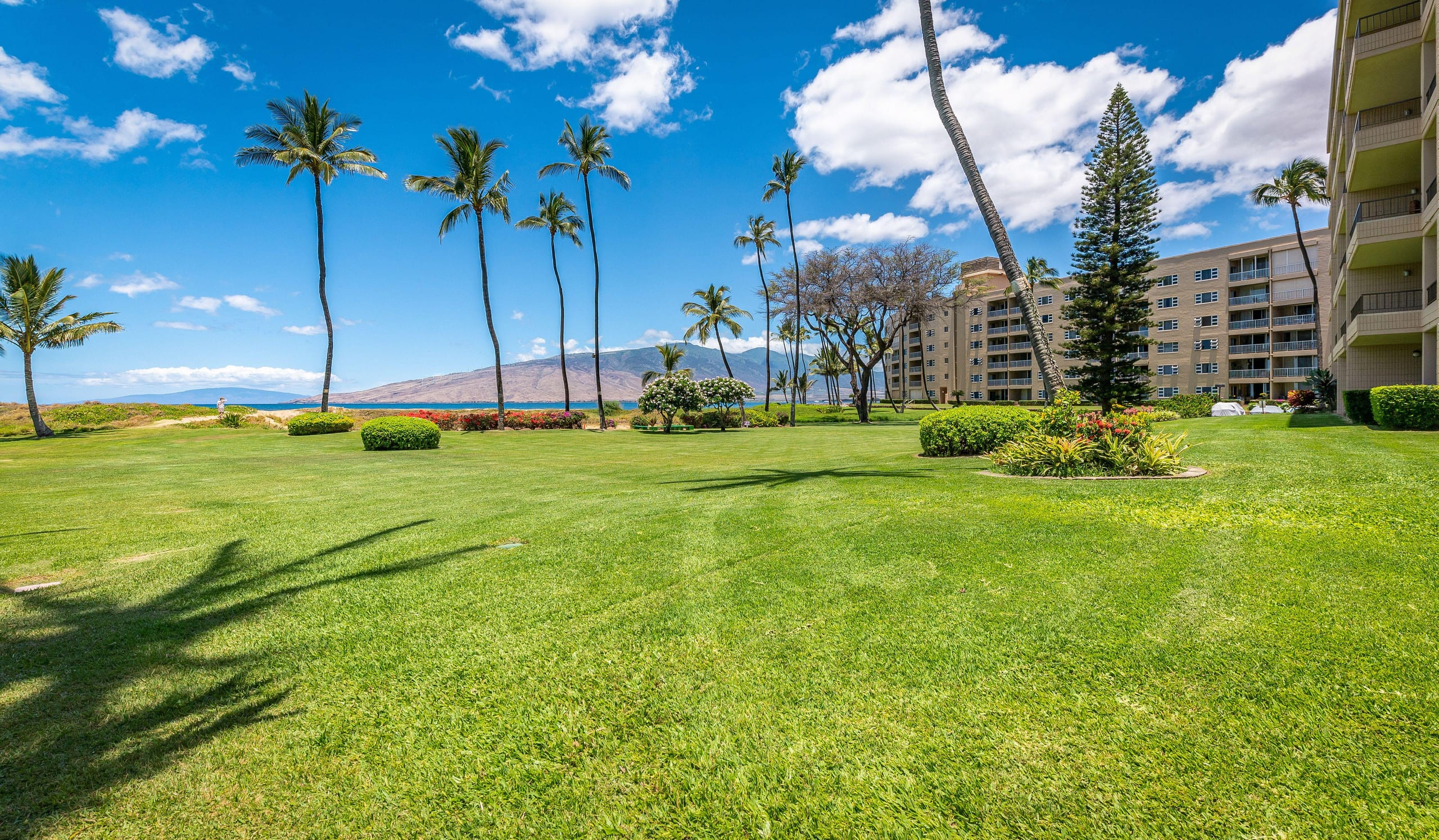 Condo in Kihei · ★4.86 · 1 bedroom · 2 beds · 1 bath - Image 31