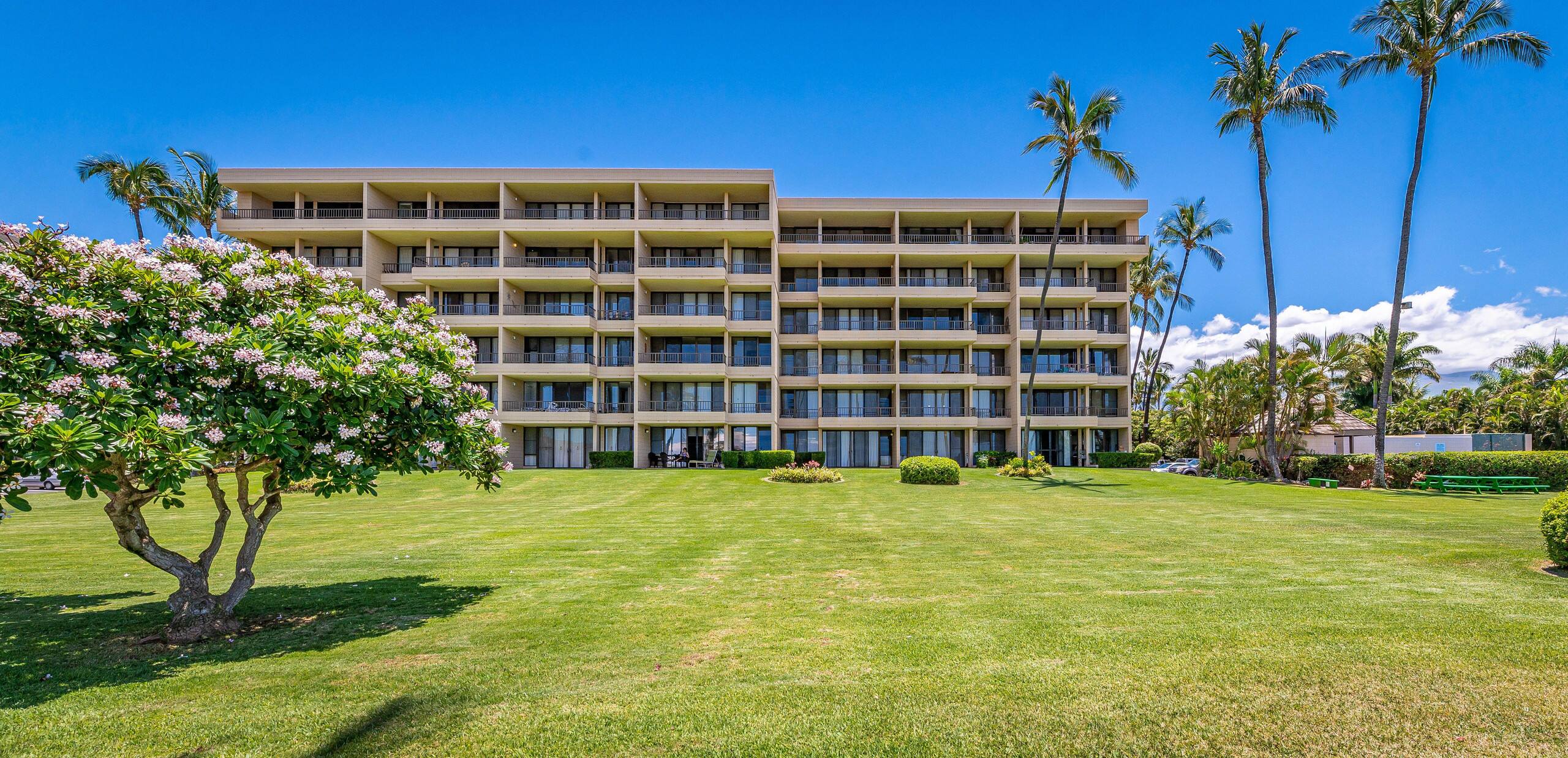 Condo in Kihei · ★4.86 · 2 bedrooms · 3 beds · 2 baths - Image 43