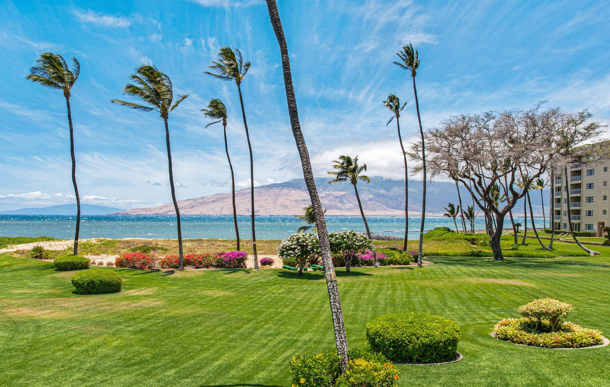 Condo in Kihei · ★4.86 · 2 bedrooms · 3 beds · 2 baths - Image 35