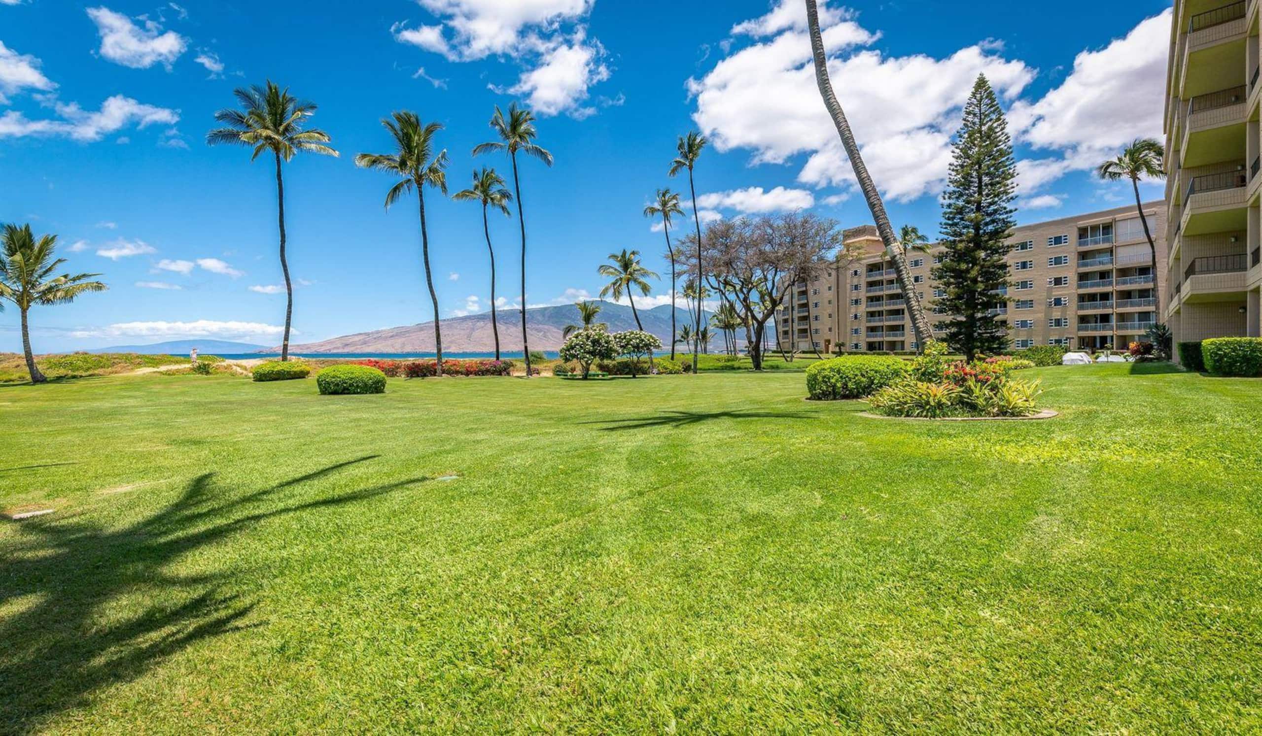 Condo in Kihei · ★4.86 · 2 bedrooms · 3 beds · 2 baths - Image 45