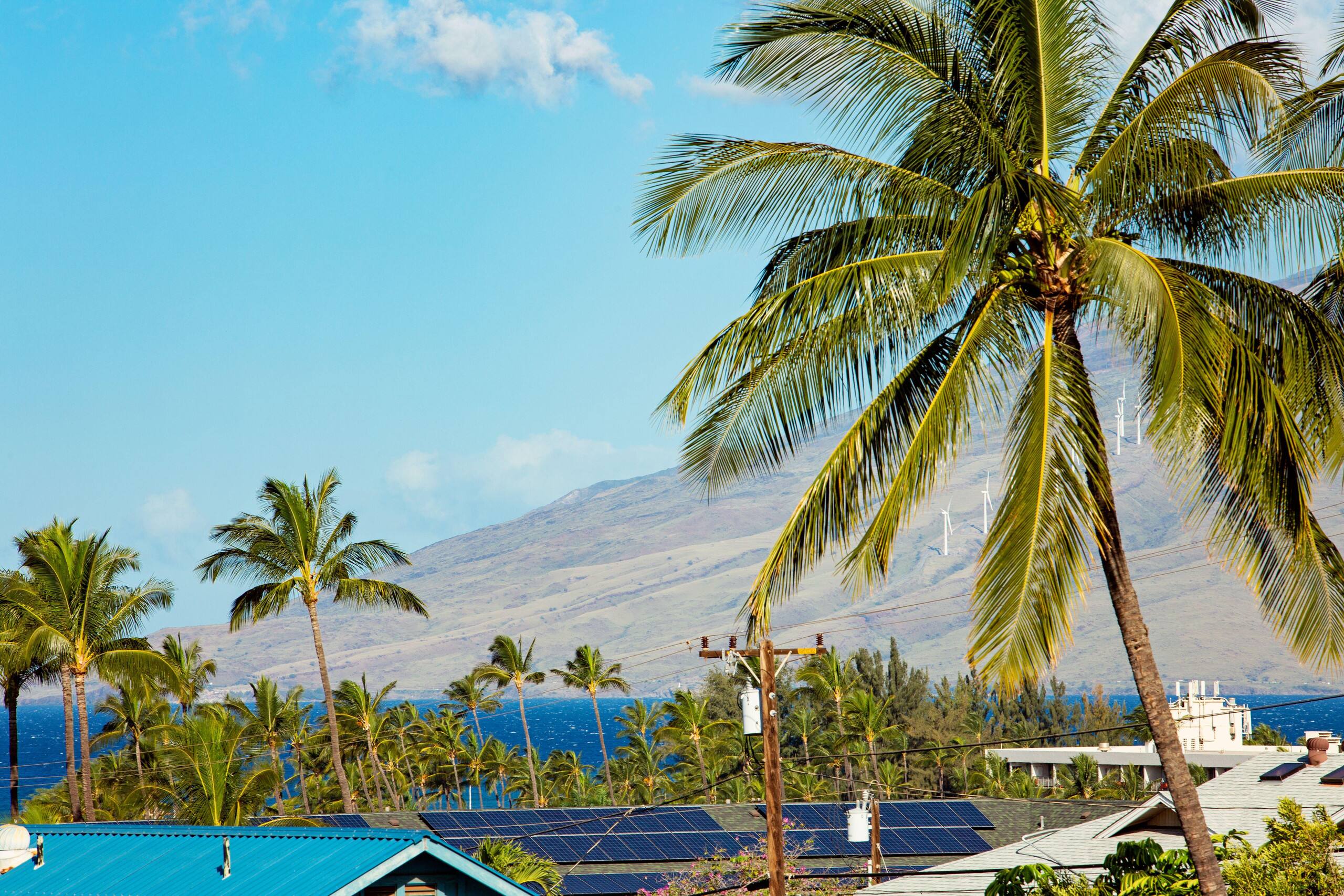 Condo in Kihei · ★4.82 · 2 bedrooms · 4 beds · 2 shared baths - Image 37